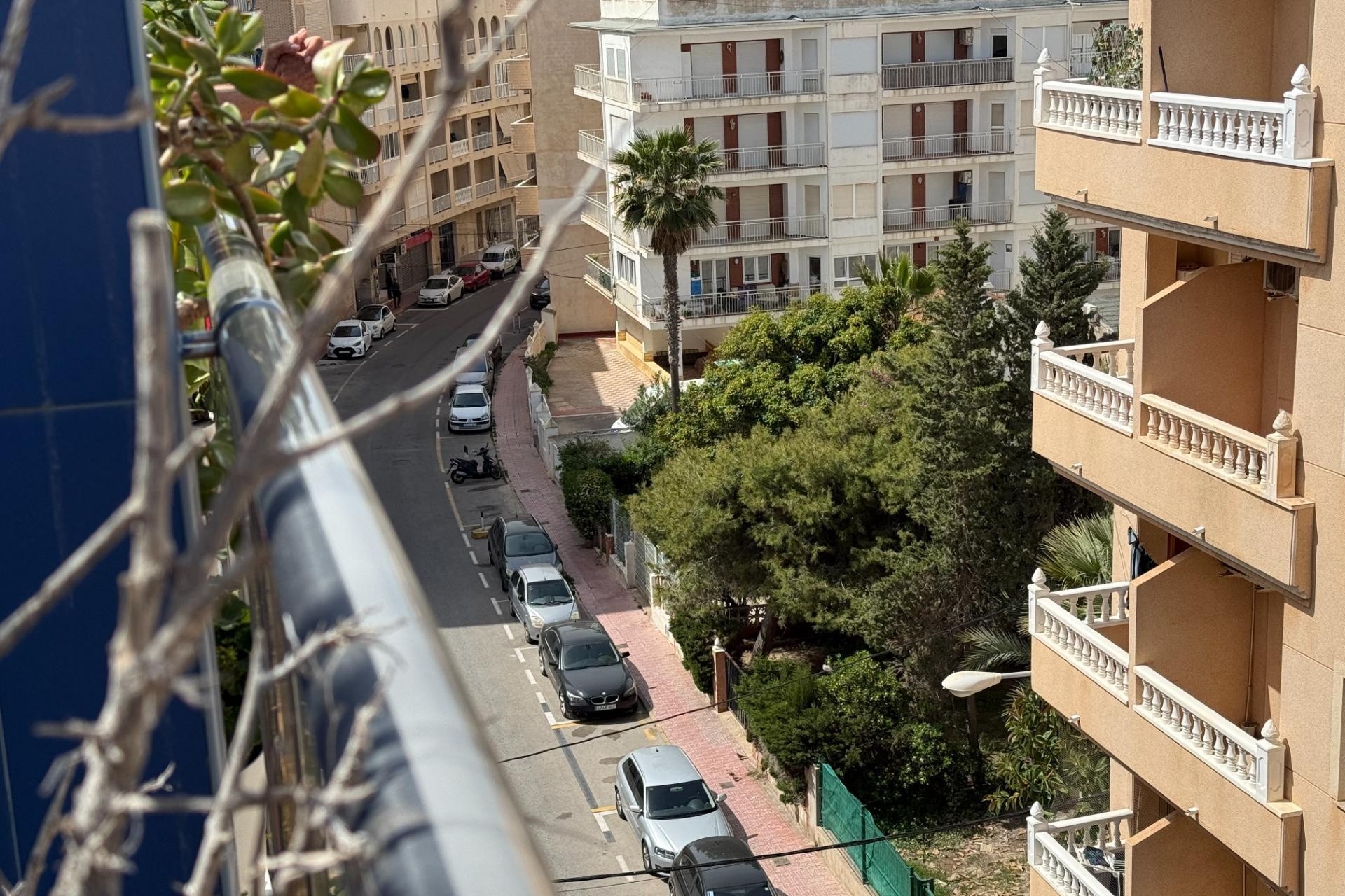 Herverkoop - Appartement / Flat -
Torrevieja - Playa de los Locos