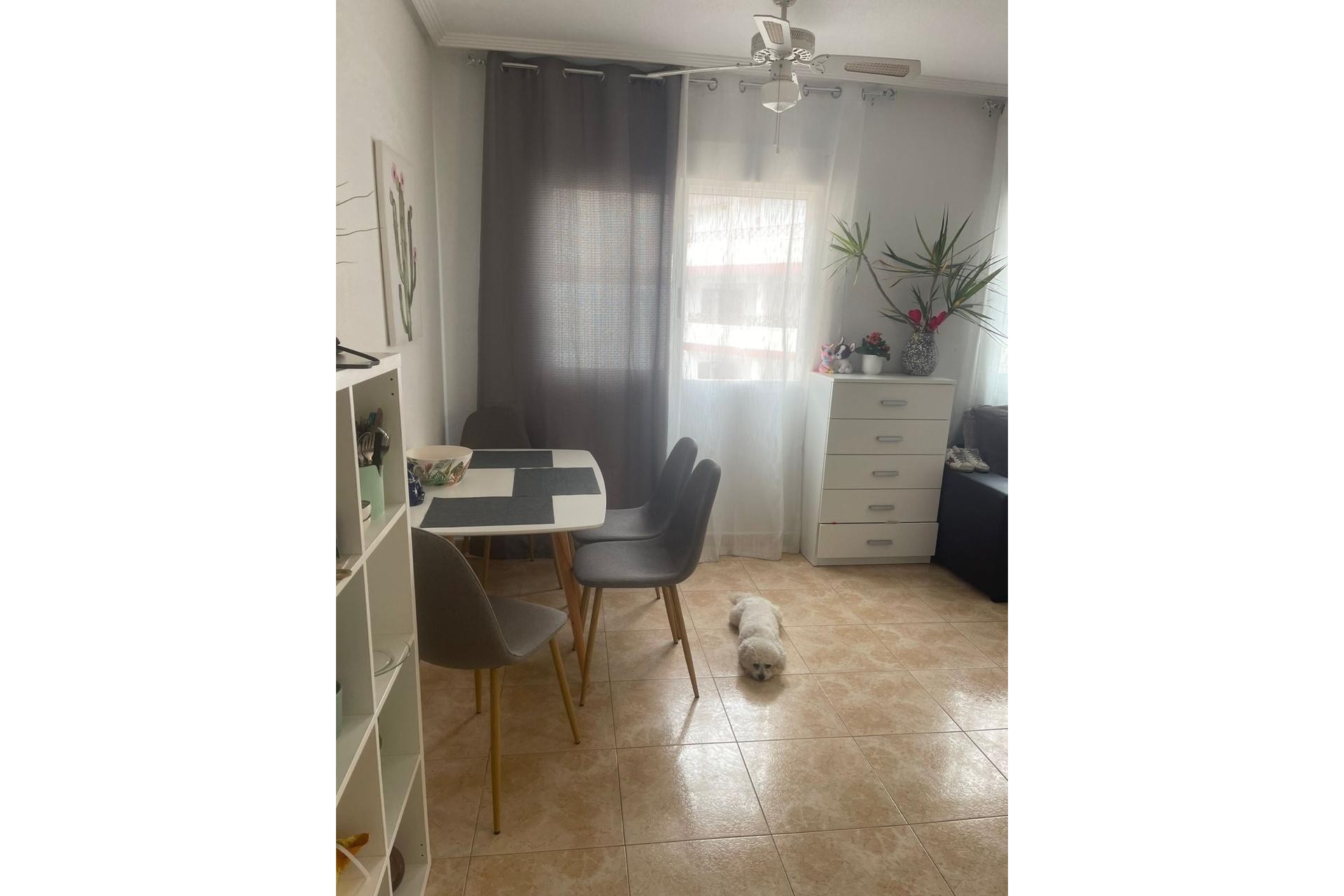 Herverkoop - Appartement / Flat -
Torrevieja - Playa de los Locos