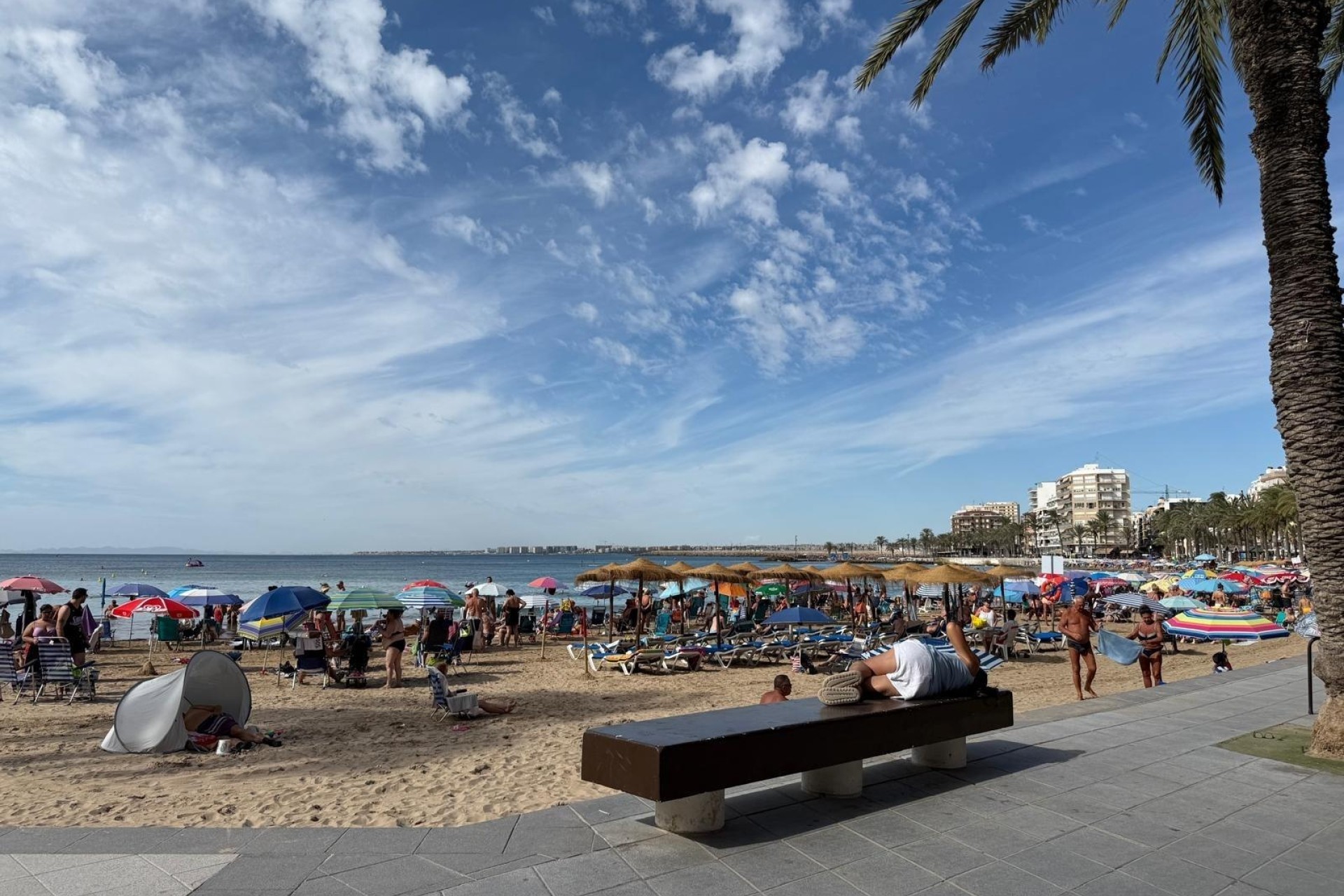 Herverkoop - Appartement / Flat -
Torrevieja - Playa del Cura