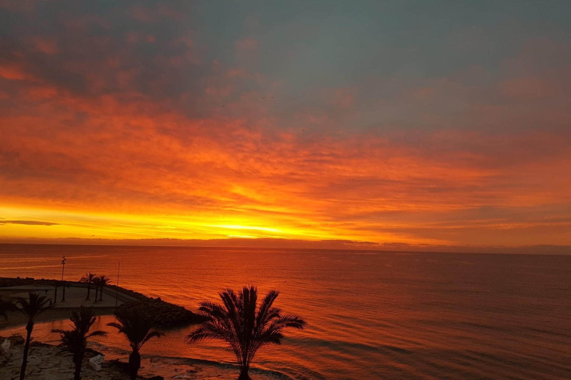 Herverkoop - Appartement / Flat -
Torrevieja - Playa del Cura