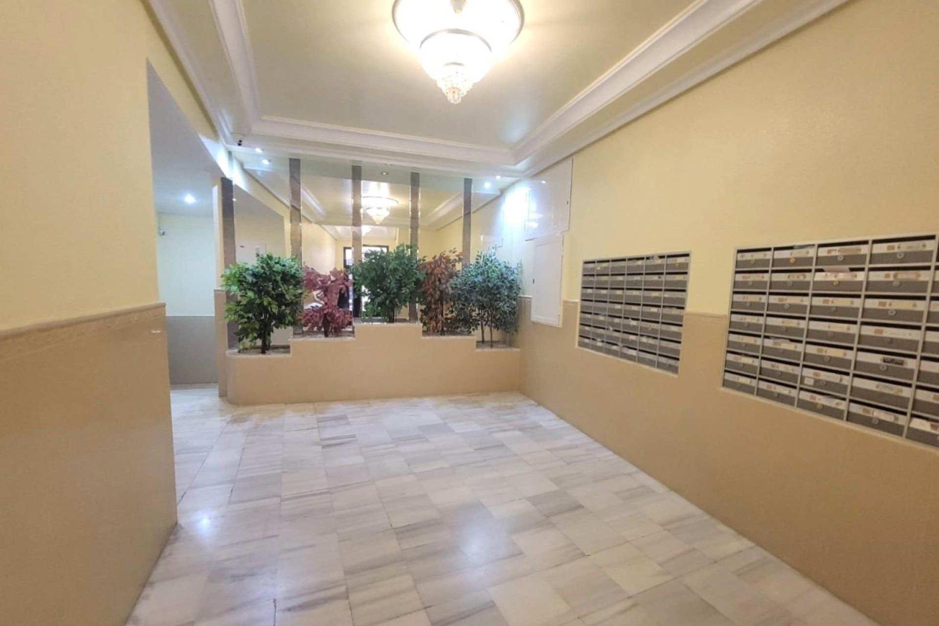 Herverkoop - Appartement / Flat -
Torrevieja - Playa del Cura