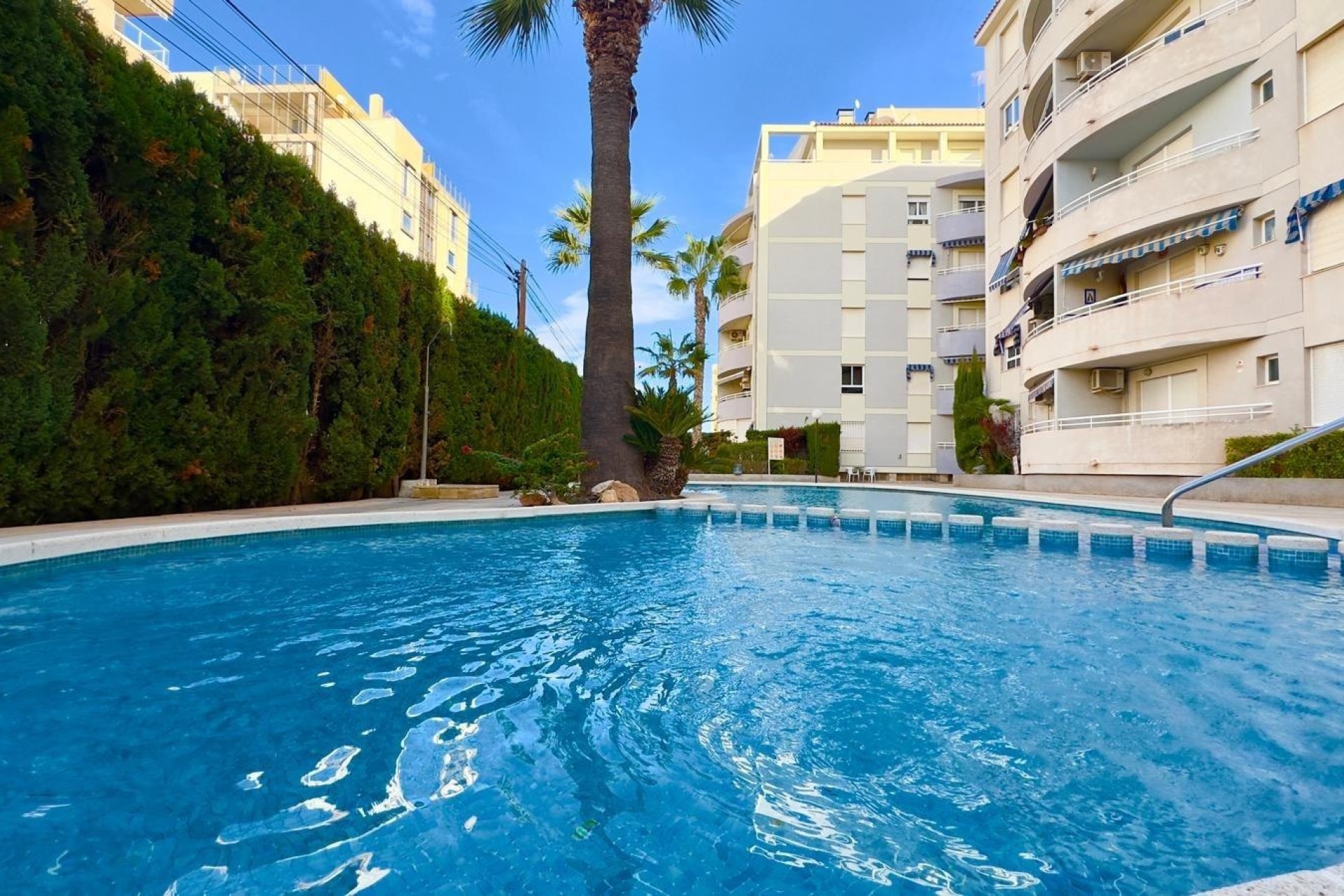 Herverkoop - Appartement / Flat -
Torrevieja - Playa del Cura