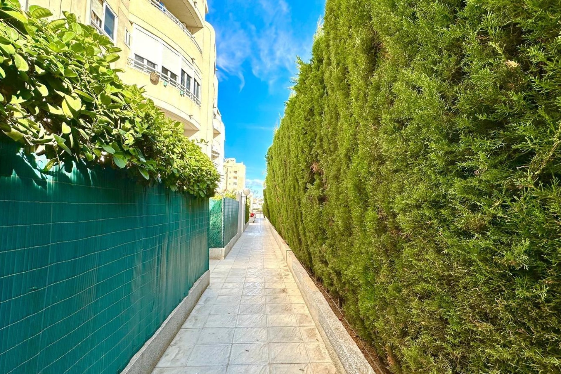 Herverkoop - Appartement / Flat -
Torrevieja - Playa del Cura