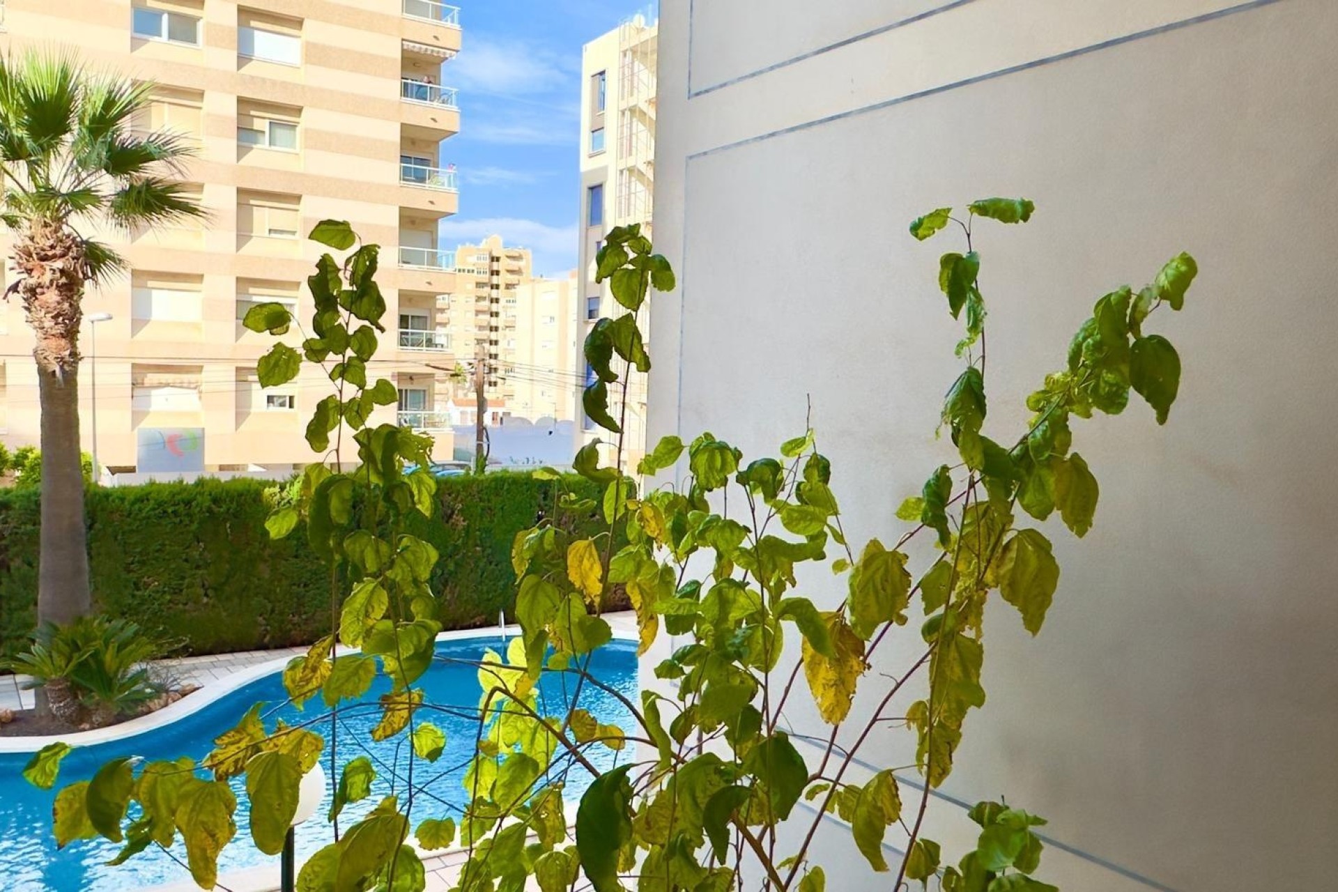 Herverkoop - Appartement / Flat -
Torrevieja - Playa del Cura