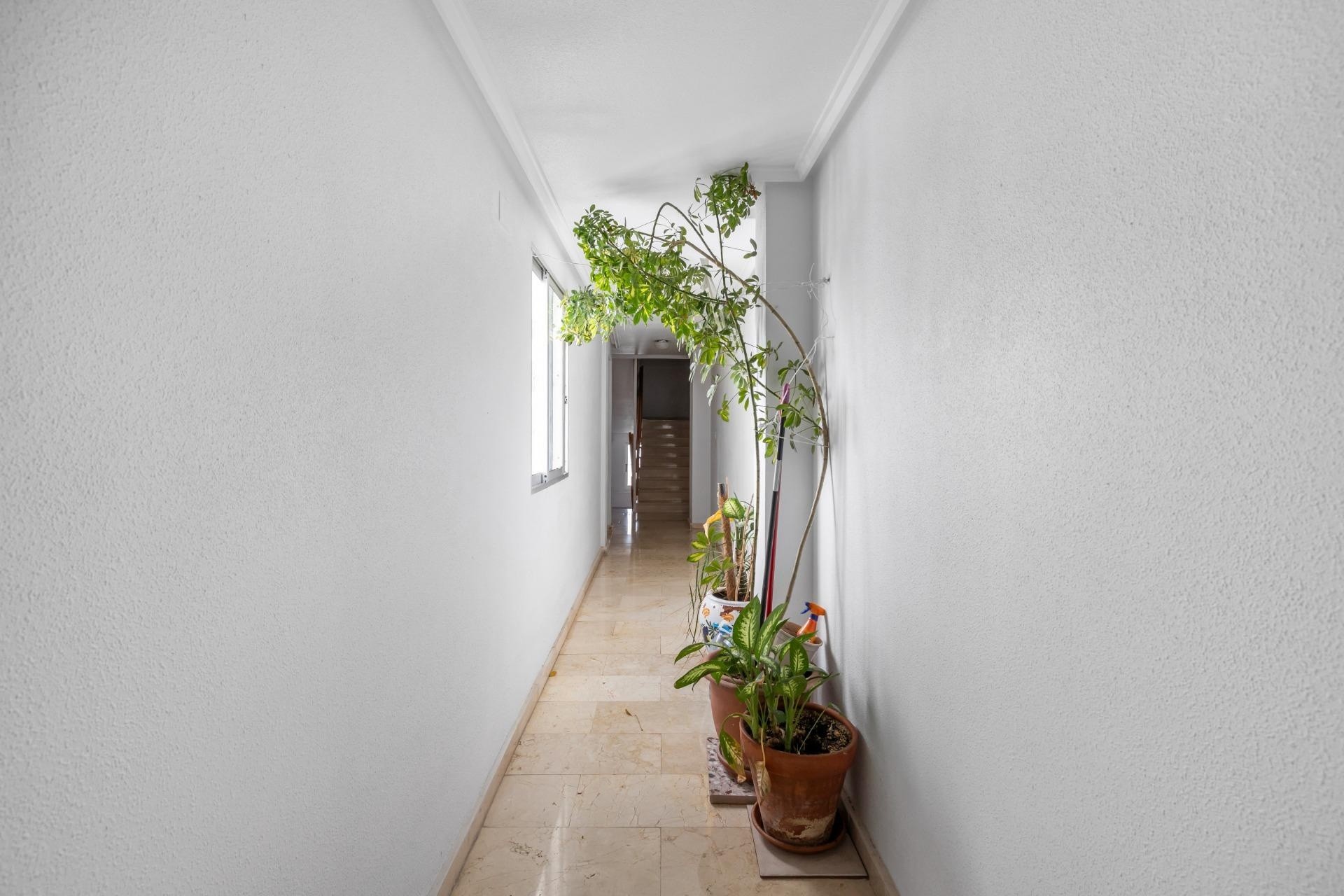Herverkoop - Appartement / Flat -
Torrevieja - Playa del Cura