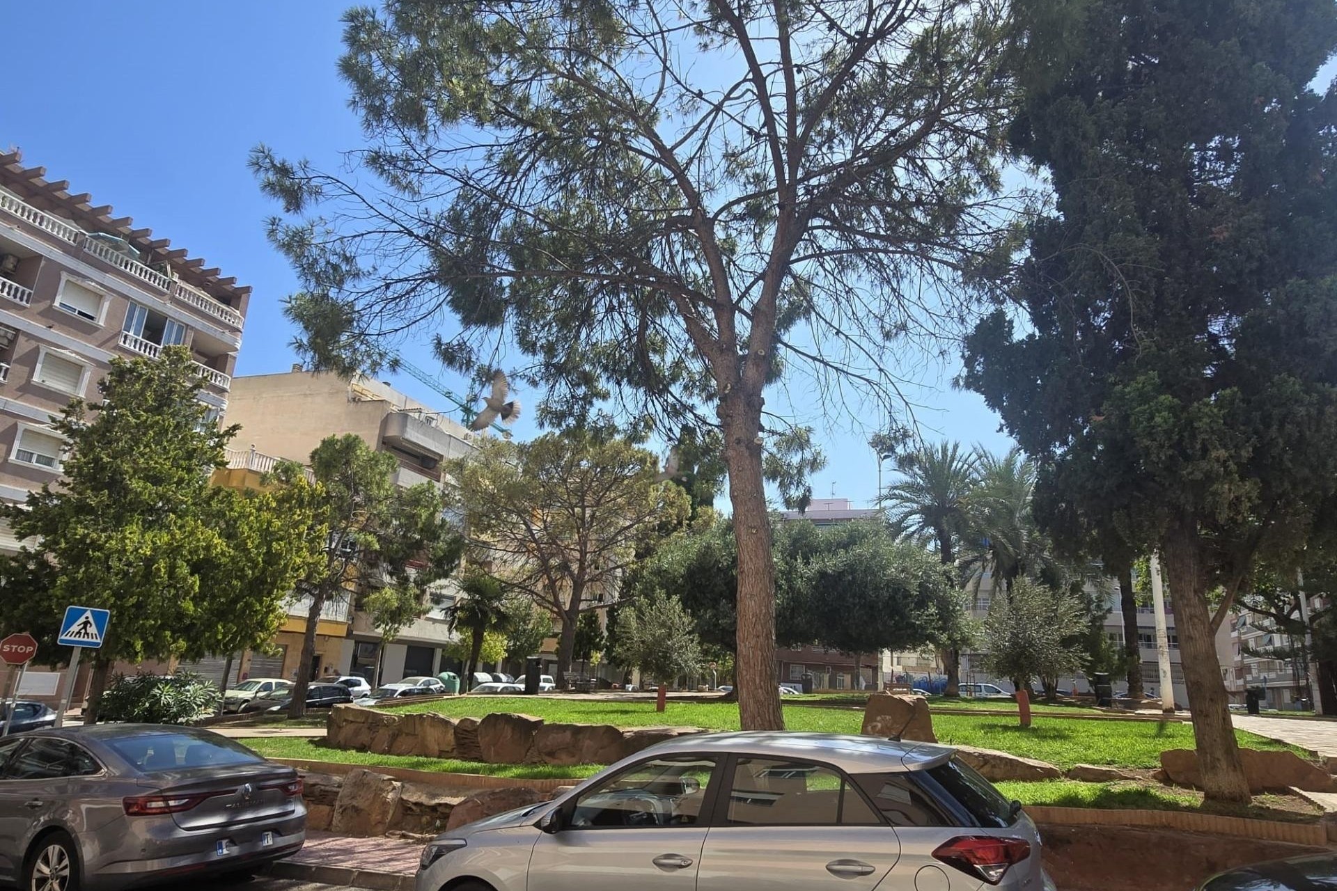 Herverkoop - Appartement / Flat -
Torrevieja - Playa del Cura