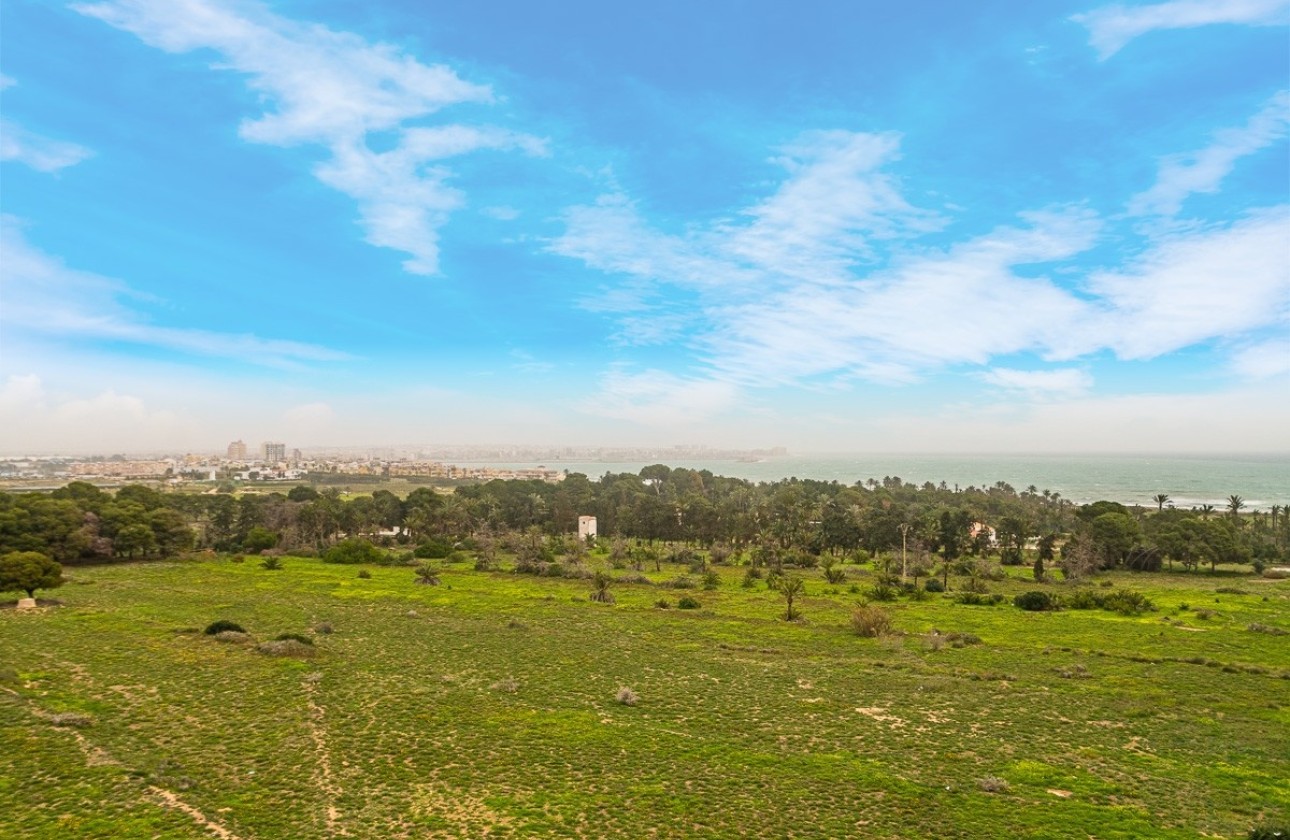 Herverkoop - Appartement / Flat -
Torrevieja - Punta Prima