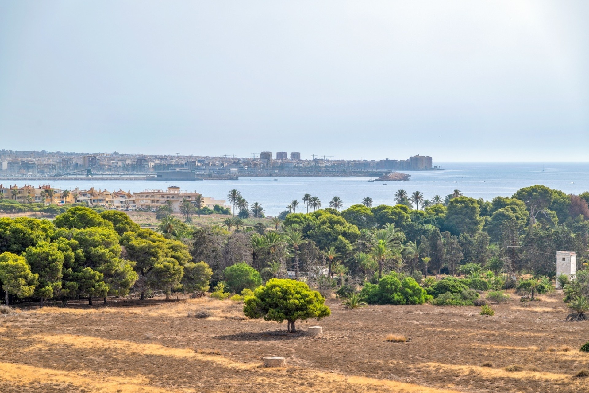 Herverkoop - Appartement / Flat -
Torrevieja - Punta Prima