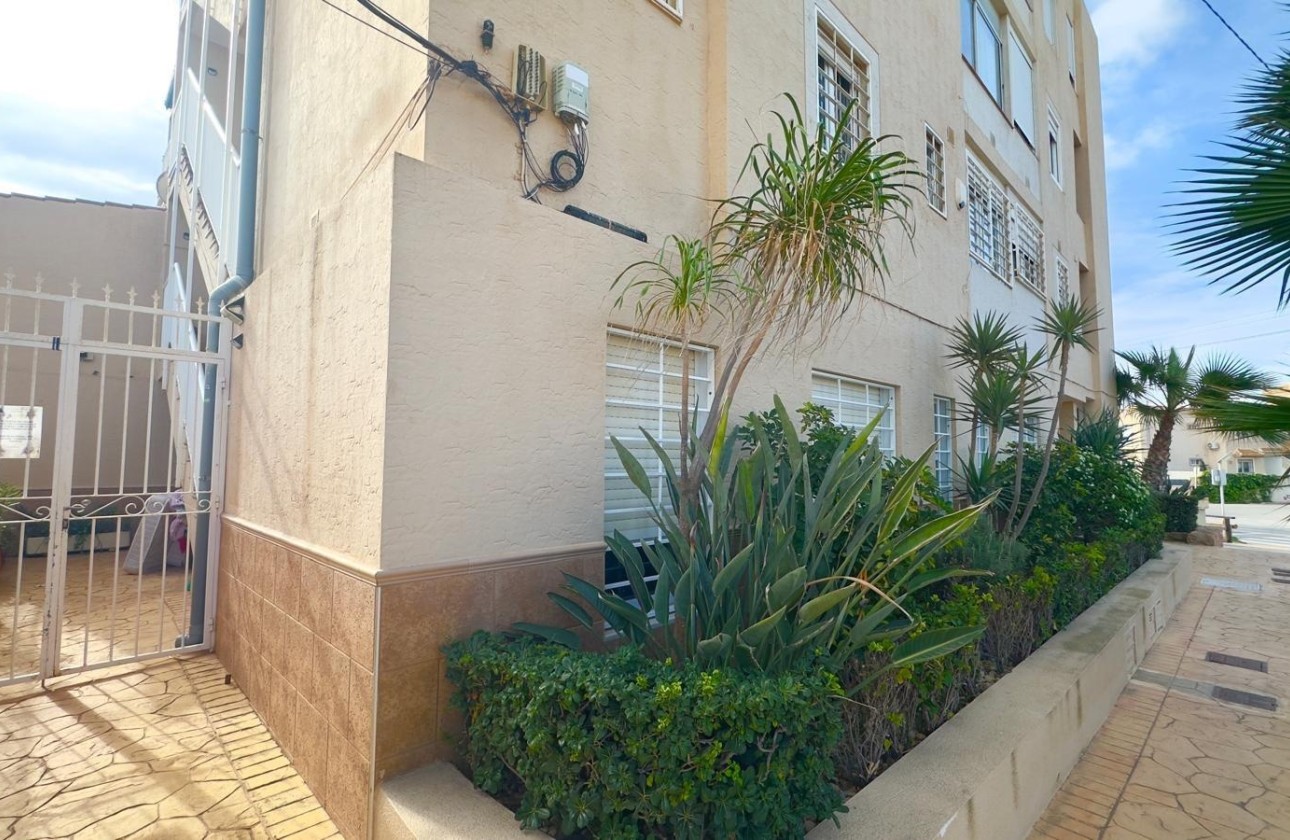 Herverkoop - Appartement / Flat -
Torrevieja - Zona los Frutales