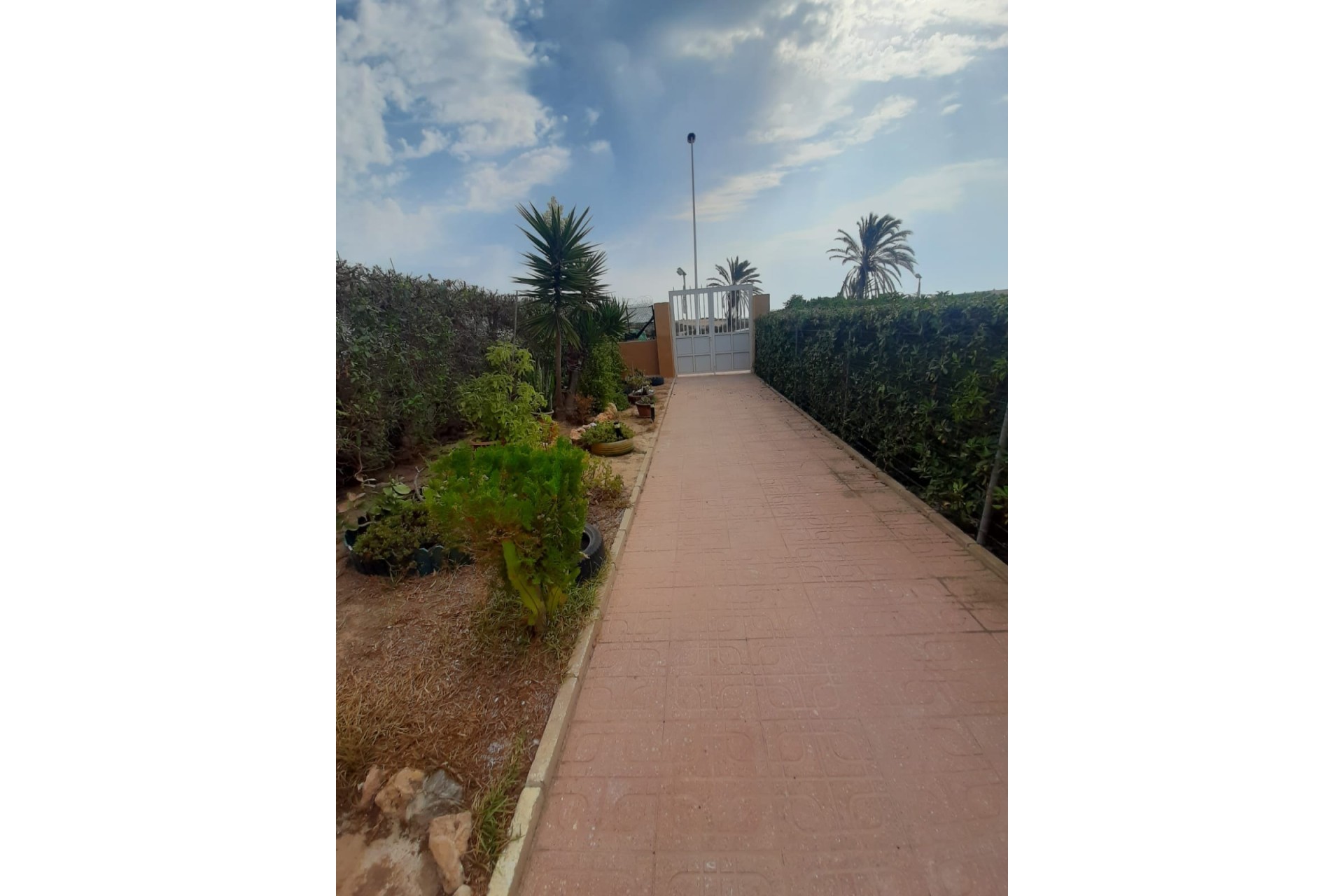 Herverkoop - Appartement / Flat -
Torrevieja