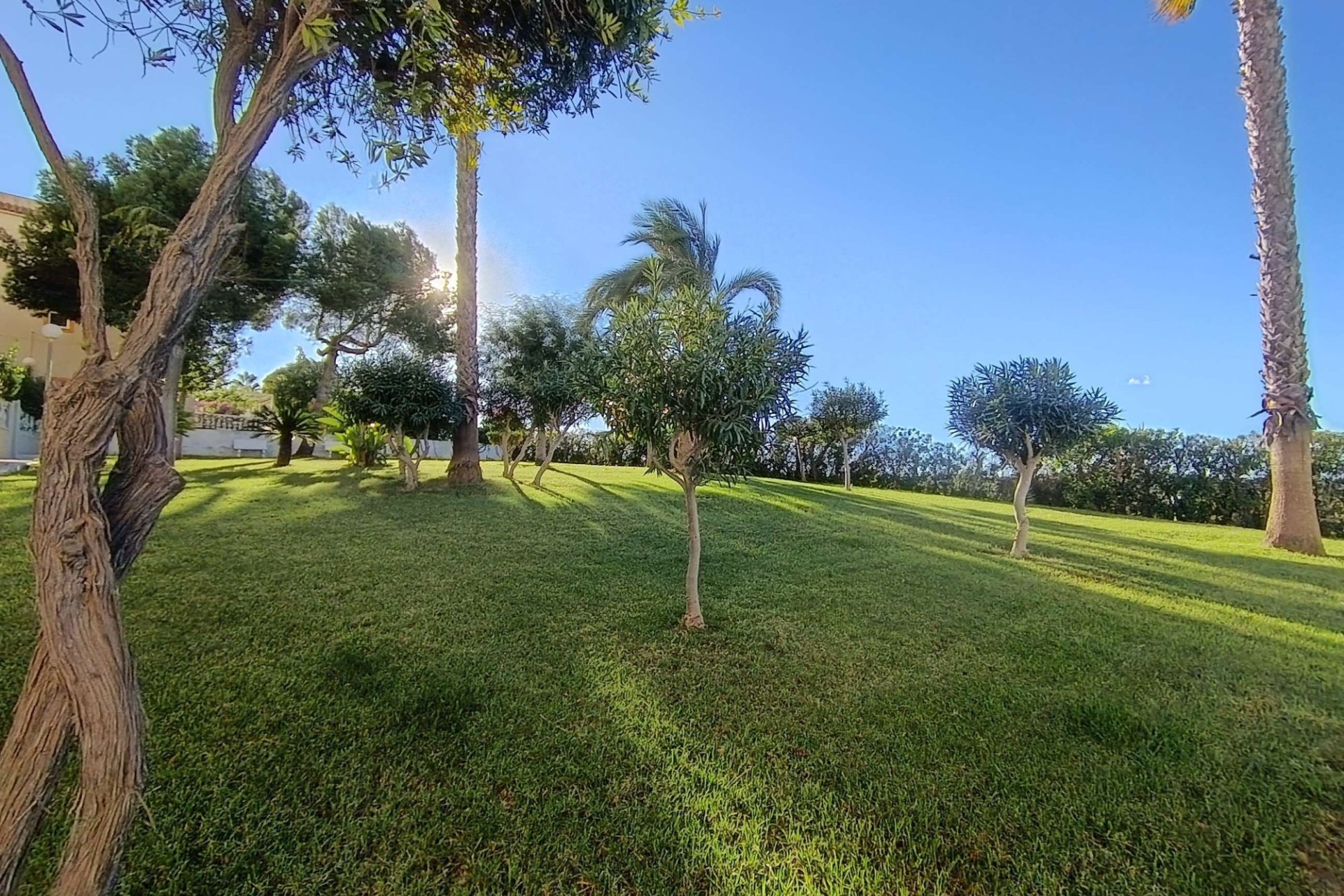 Herverkoop - Appartement / Flat -
Torrevieja