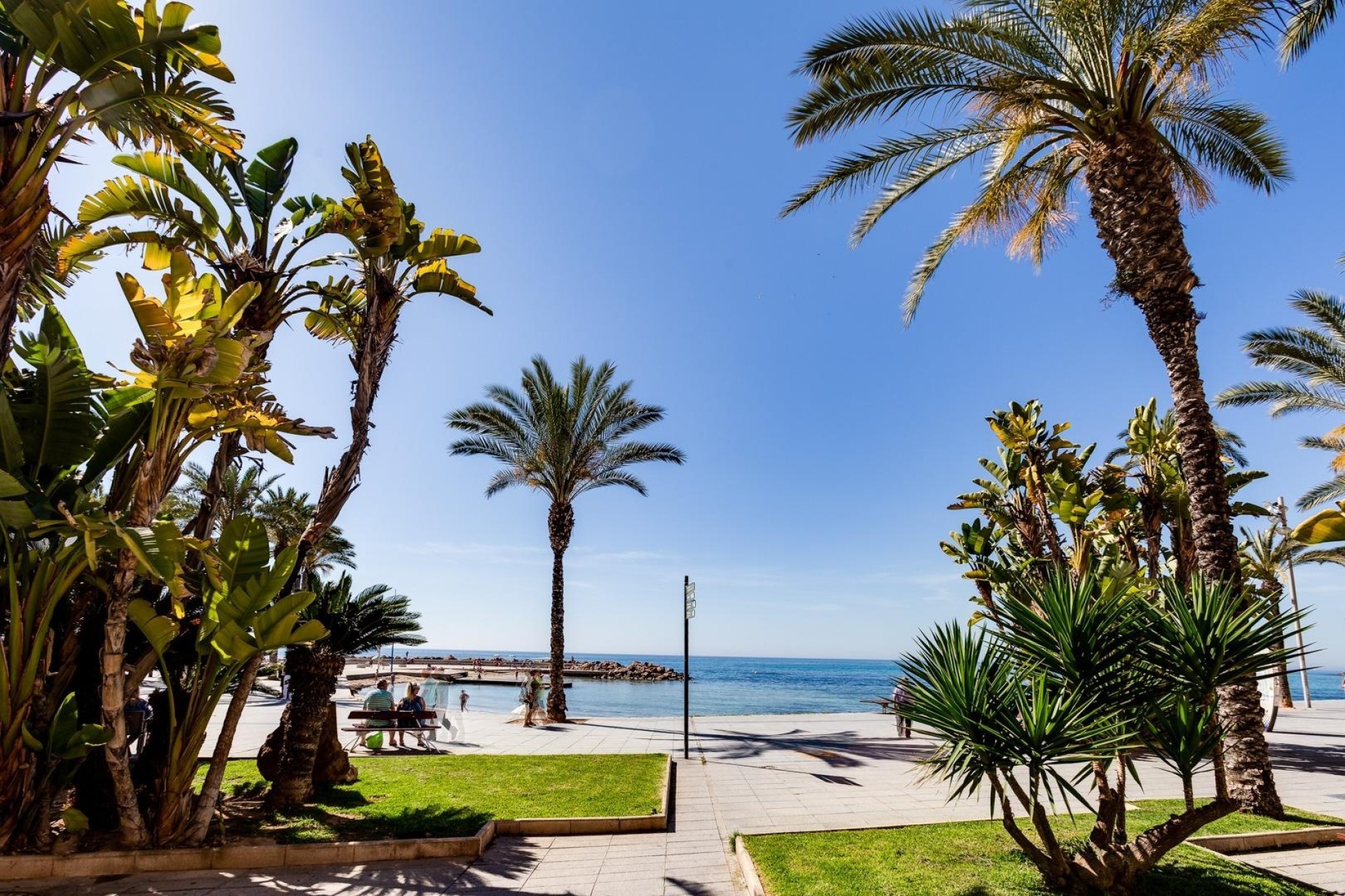 Herverkoop - Appartement / Flat -
Torrevieja