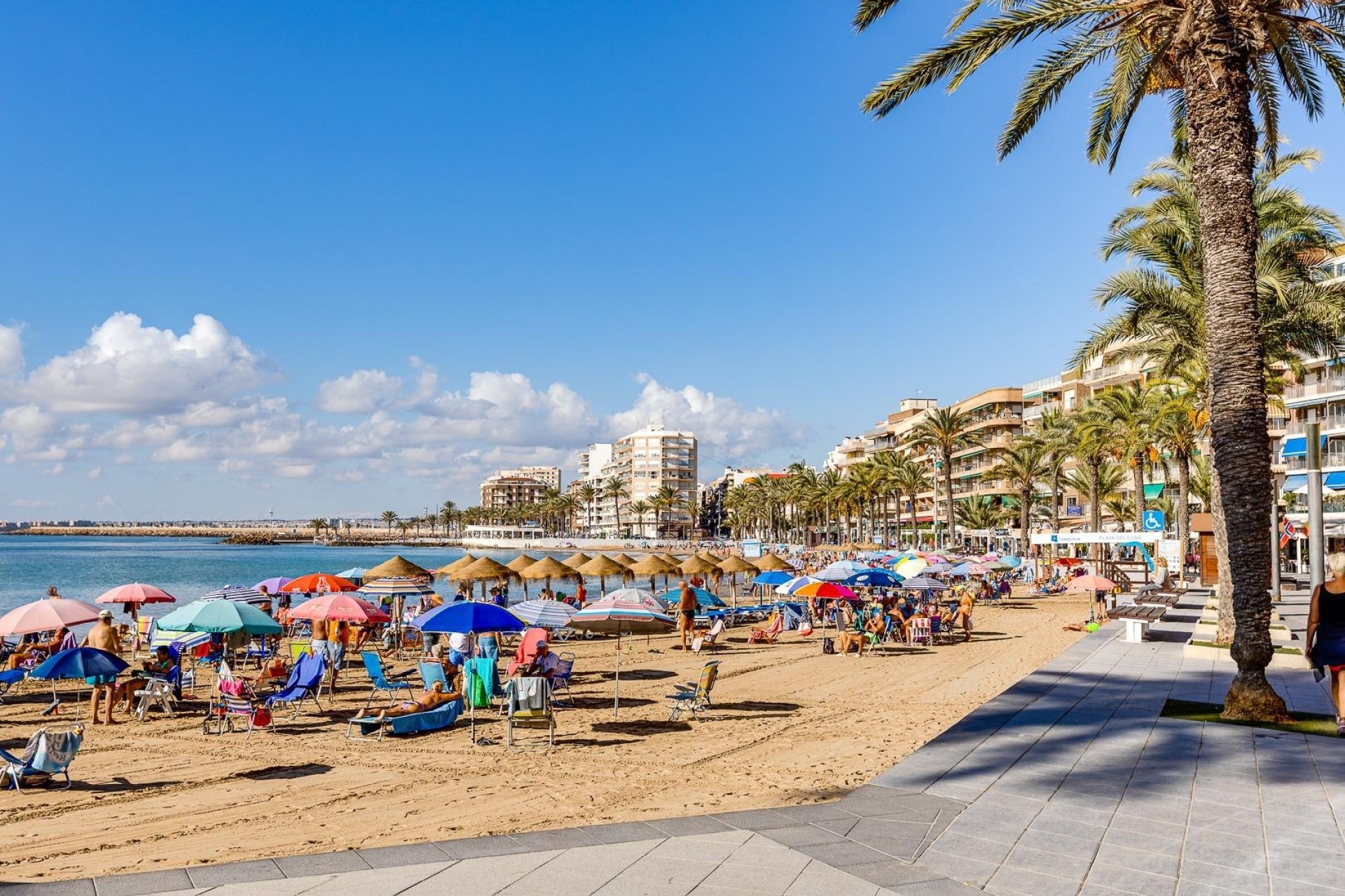 Herverkoop - Appartement / Flat -
Torrevieja