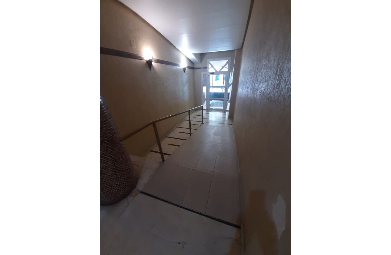 Herverkoop - Appartement / Flat -
Torrevieja