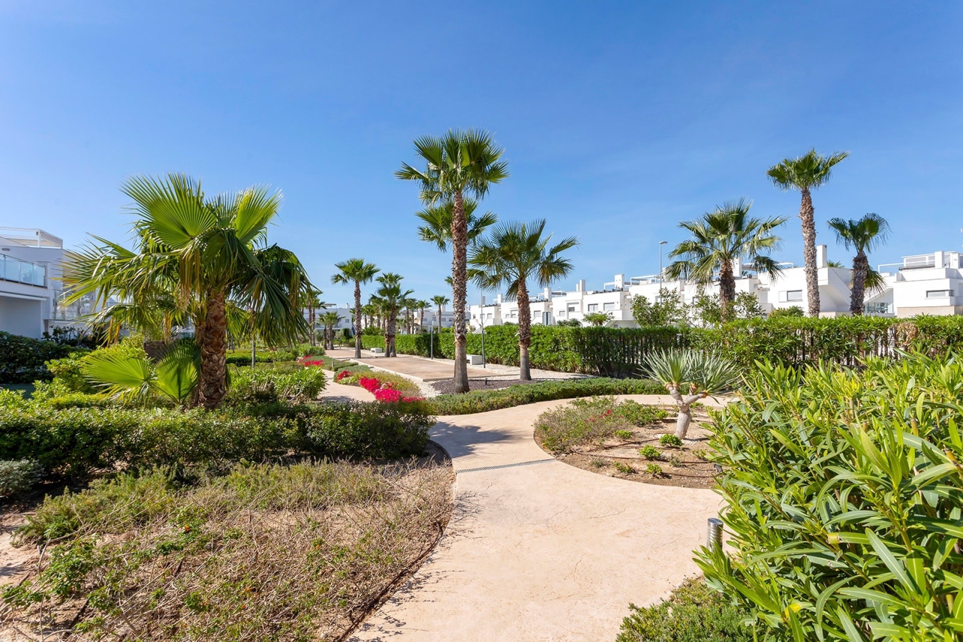 Herverkoop - Appartement / Flat -
Vistabella Golf