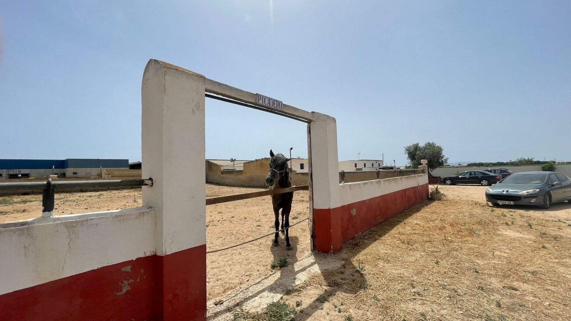 Herverkoop - Commercieel -
Balsicas - Torre Pacheco