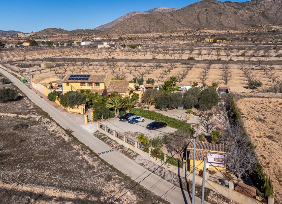 Herverkoop - Commercieel -
Hondón de las Nieves - Hondón De Las Nieves