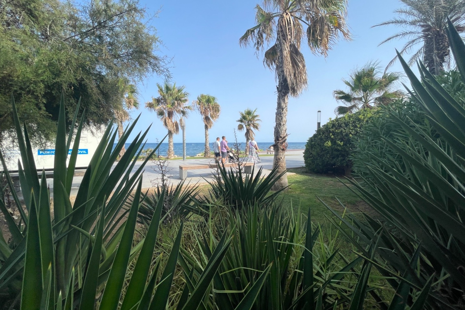 Herverkoop - Commercieel -
Torrevieia - Comunidad Valenciana