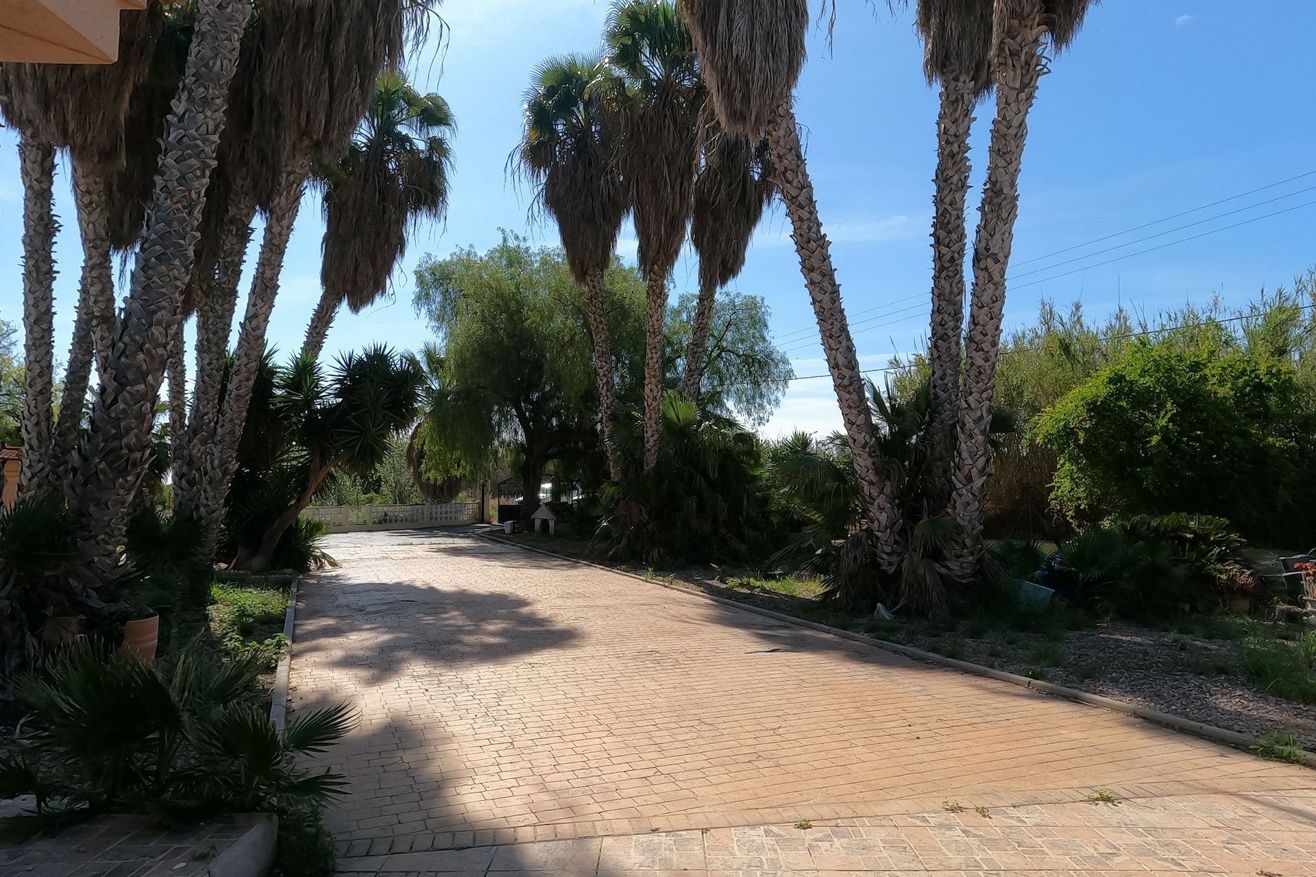 Herverkoop - Detached Villa -
Dolores