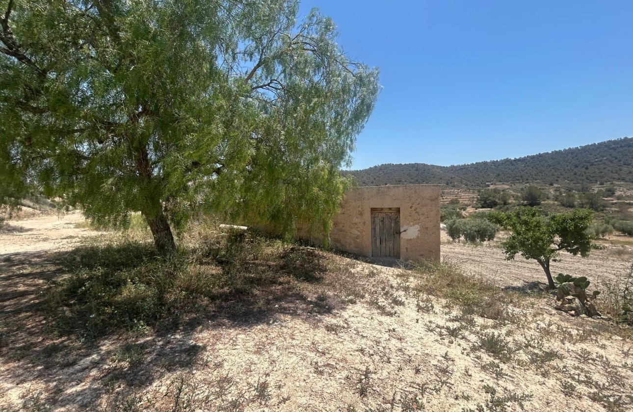 Herverkoop - Finca Landelijk pand -
Abanilla - ABANILLA