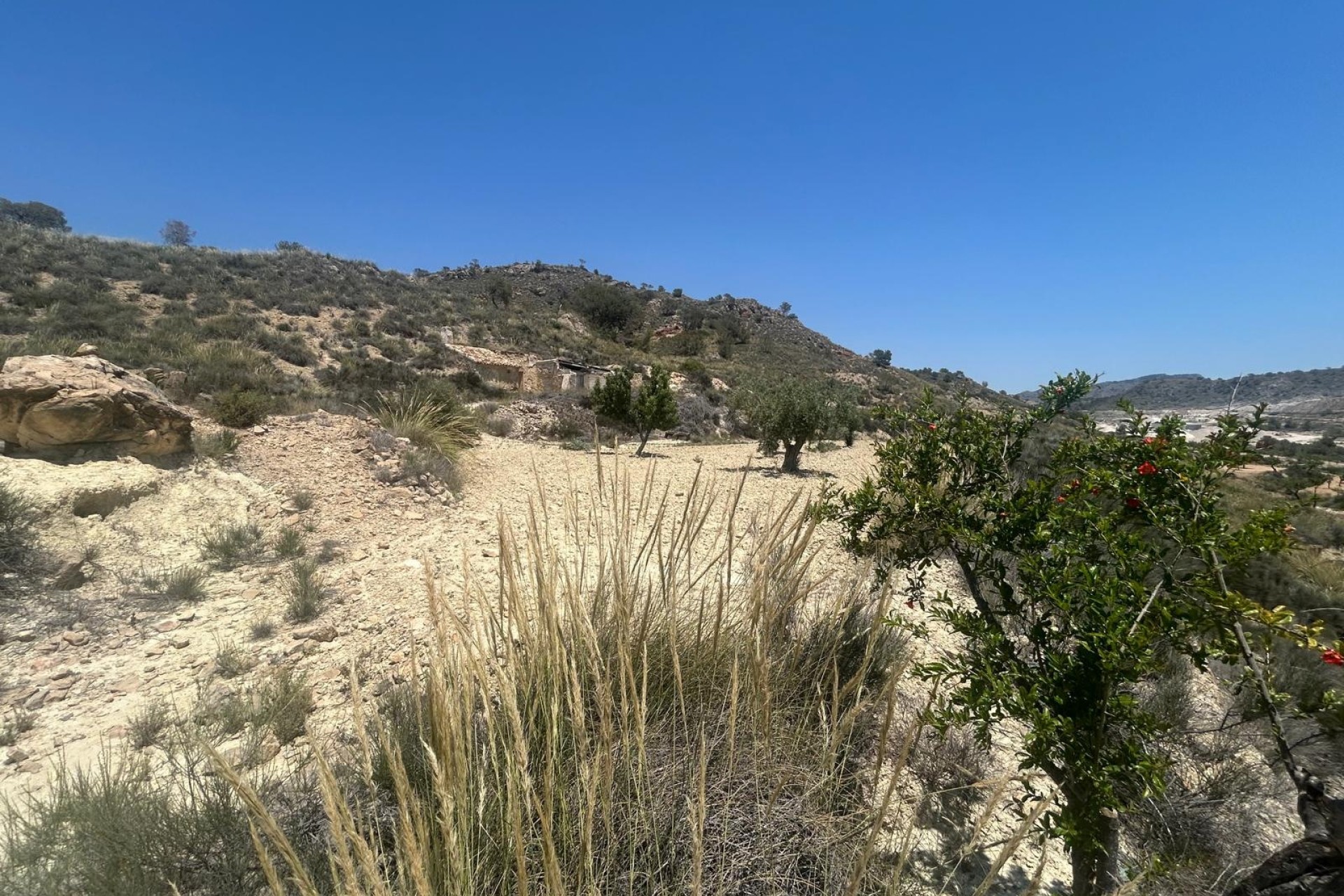 Herverkoop - Finca Landelijk pand -
Abanilla - ABANILLA