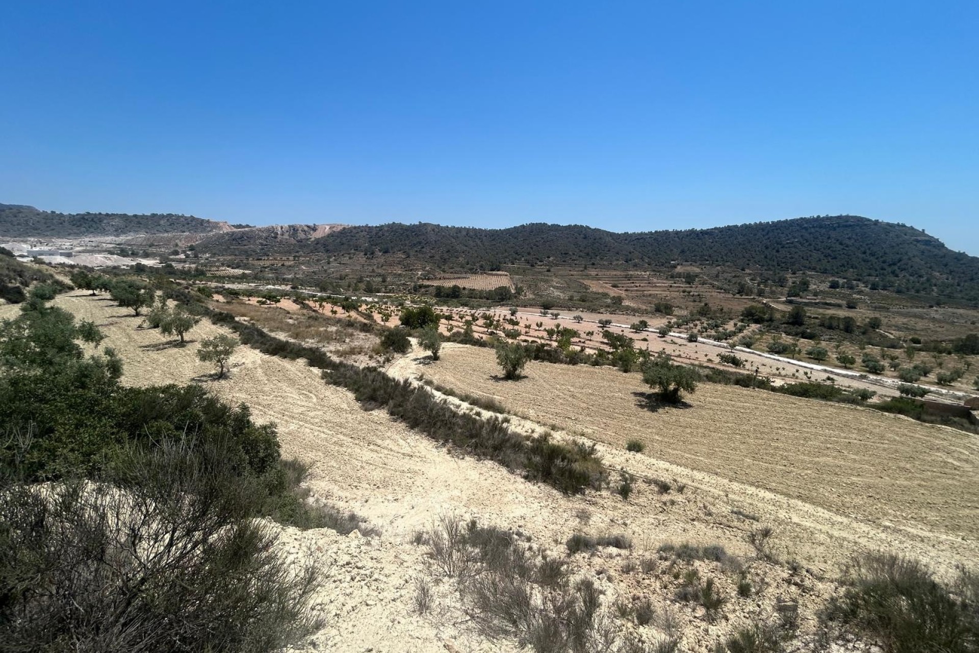 Herverkoop - Finca Landelijk pand -
Abanilla - ABANILLA