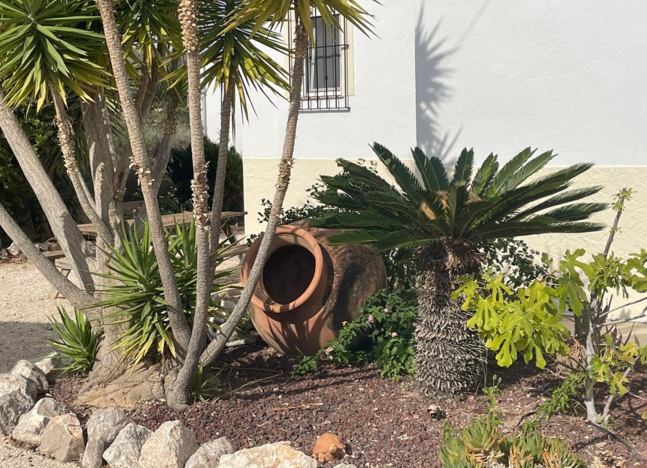 Herverkoop - Finca Landelijk pand -
Abanilla