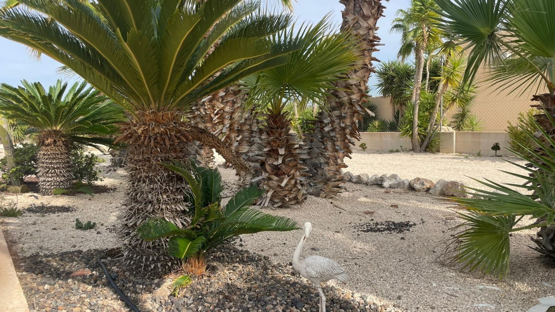 Herverkoop - Finca Landelijk pand -
Abanilla