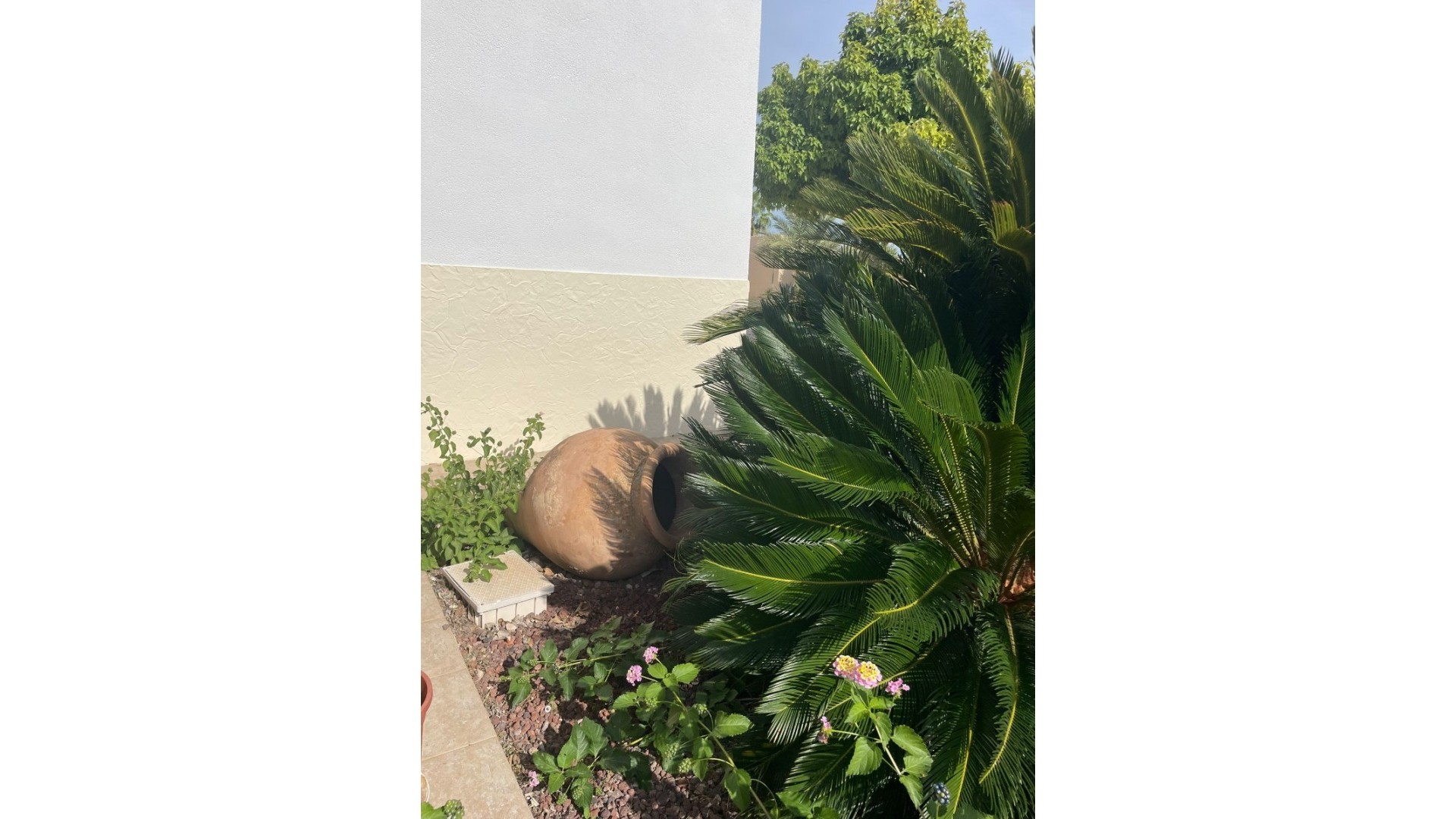 Herverkoop - Finca Landelijk pand -
Abanilla