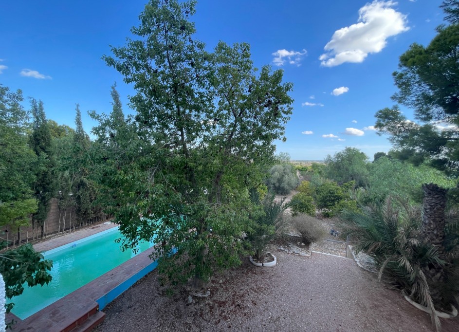 Herverkoop - Finca Landelijk pand -
Albatera