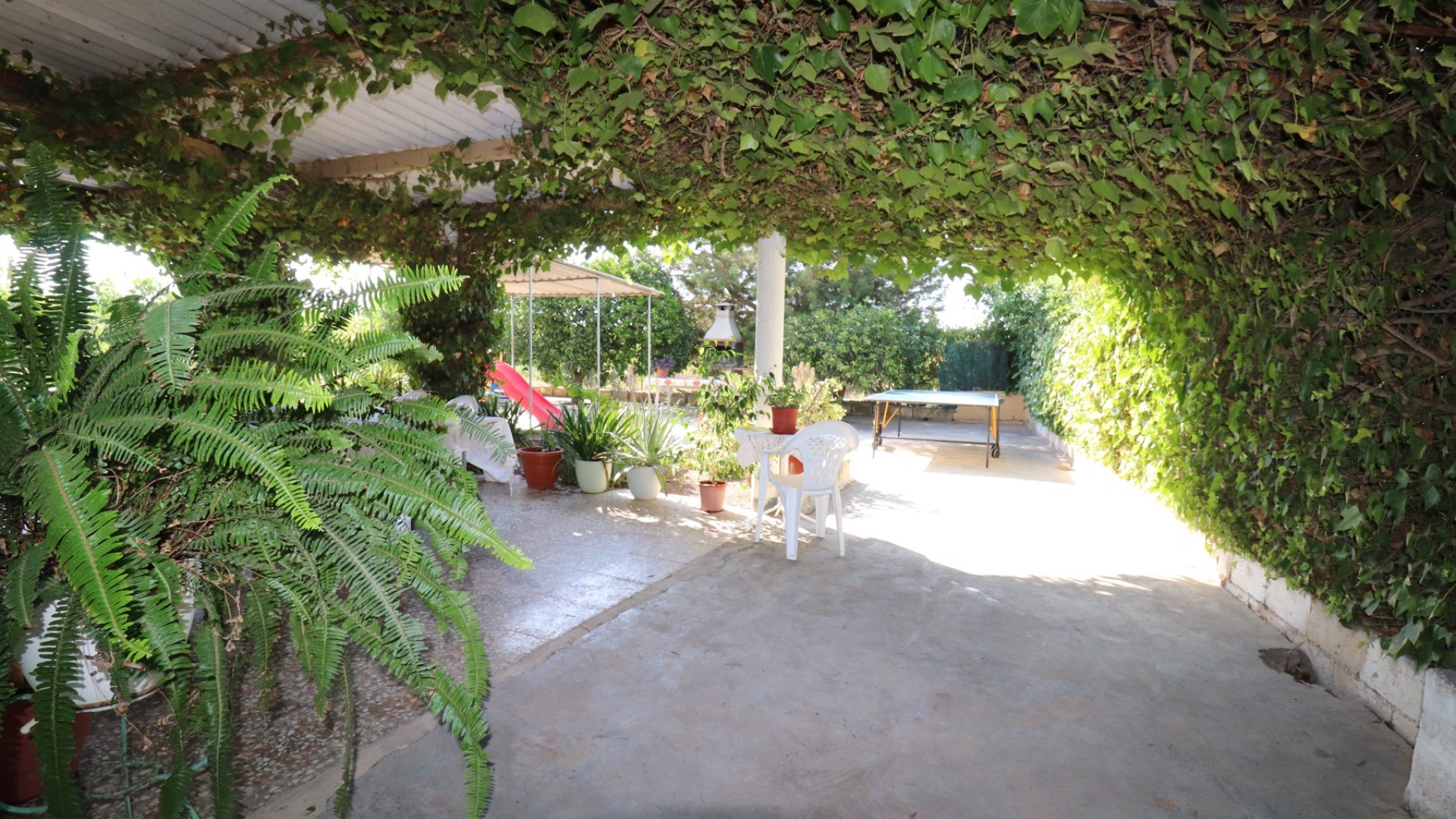 Herverkoop - Finca Landelijk pand -
Albatera