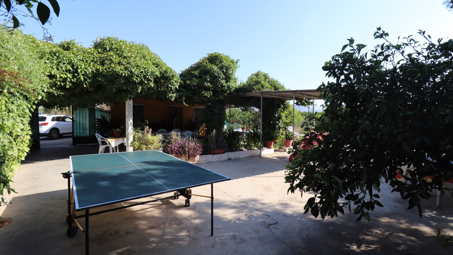 Herverkoop - Finca Landelijk pand -
Albatera