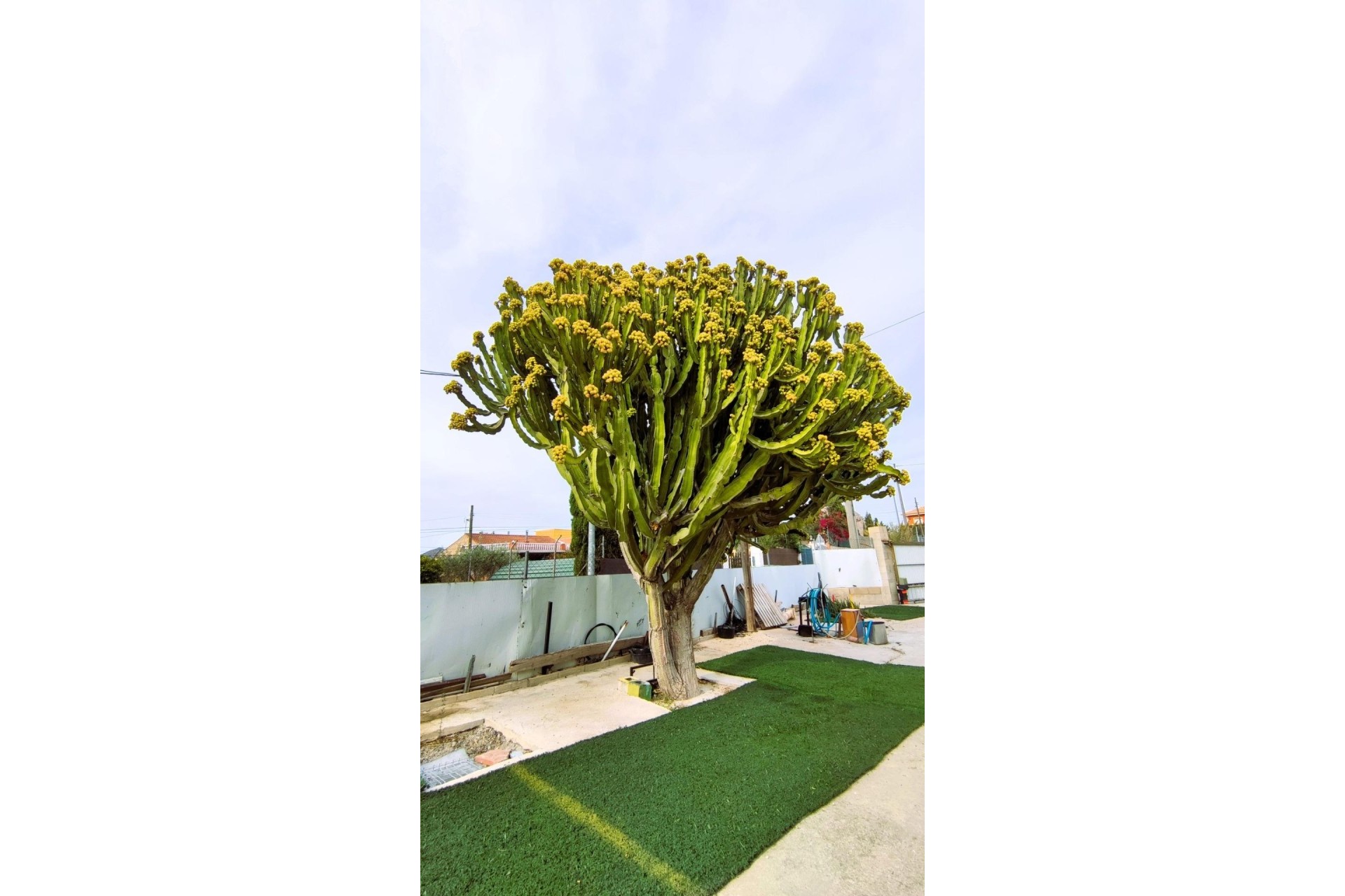 Herverkoop - Finca Landelijk pand -
Alicante