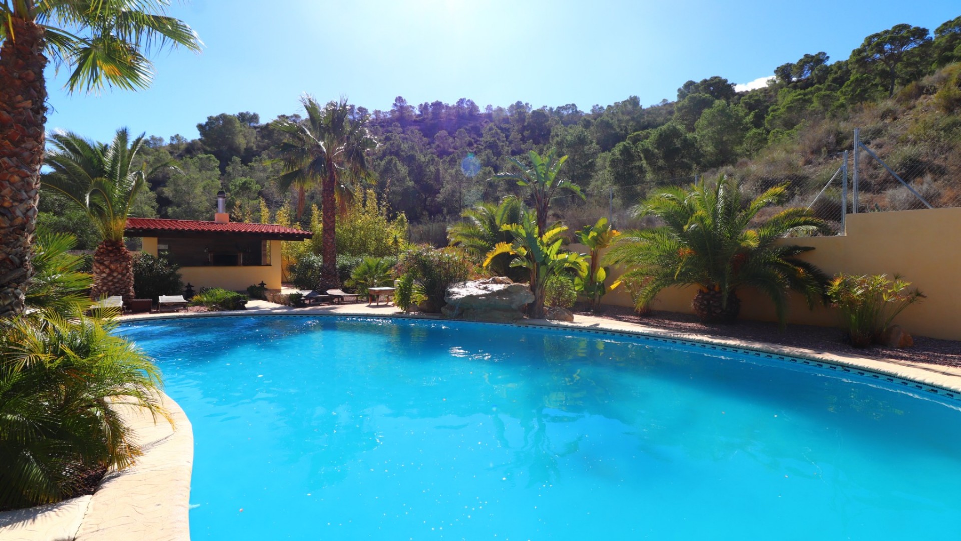 Herverkoop - Finca Landelijk pand -
Aspe - Aspe - Country