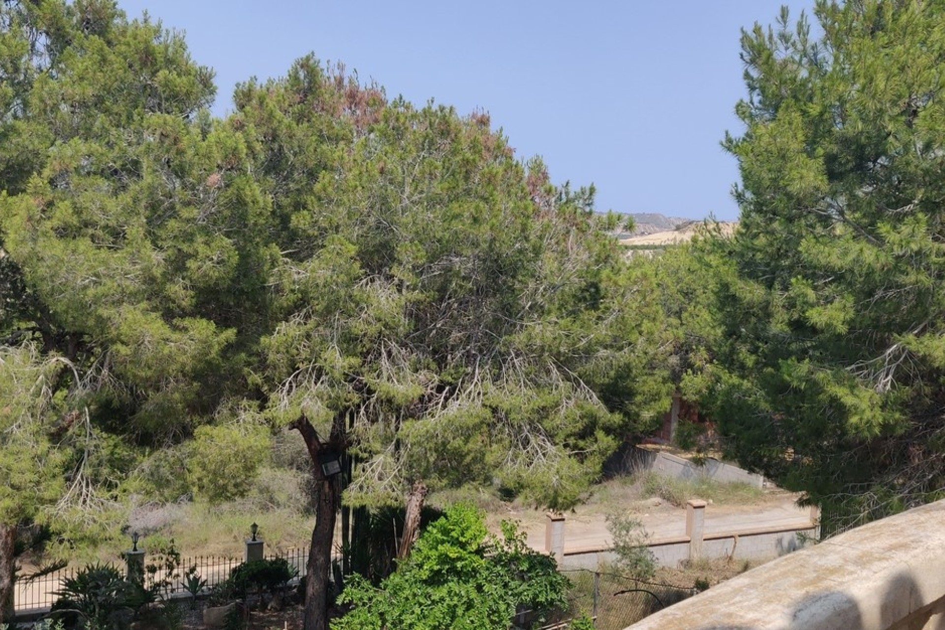 Herverkoop - Finca Landelijk pand -
CAÃADA DE SAN PEDRO