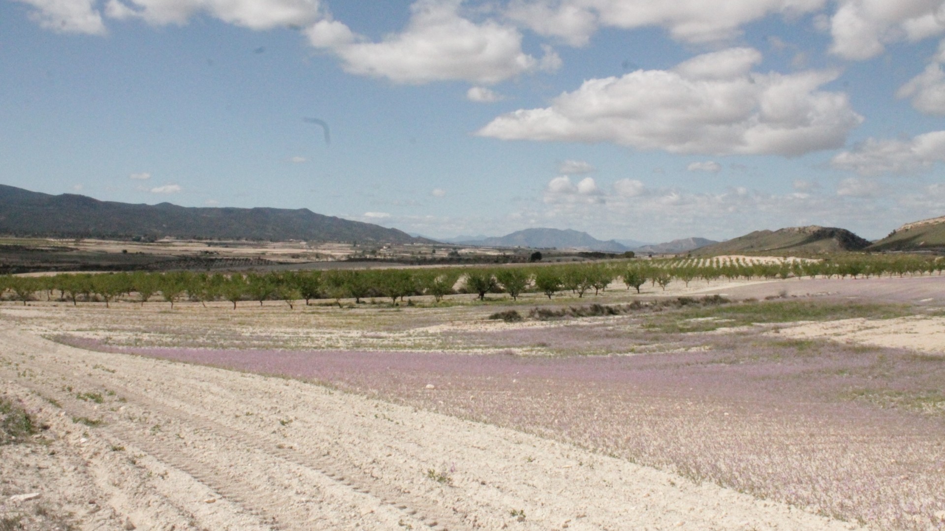 Herverkoop - Finca Landelijk pand -
Cañada del Trigo - Canada del Trigo Murcia