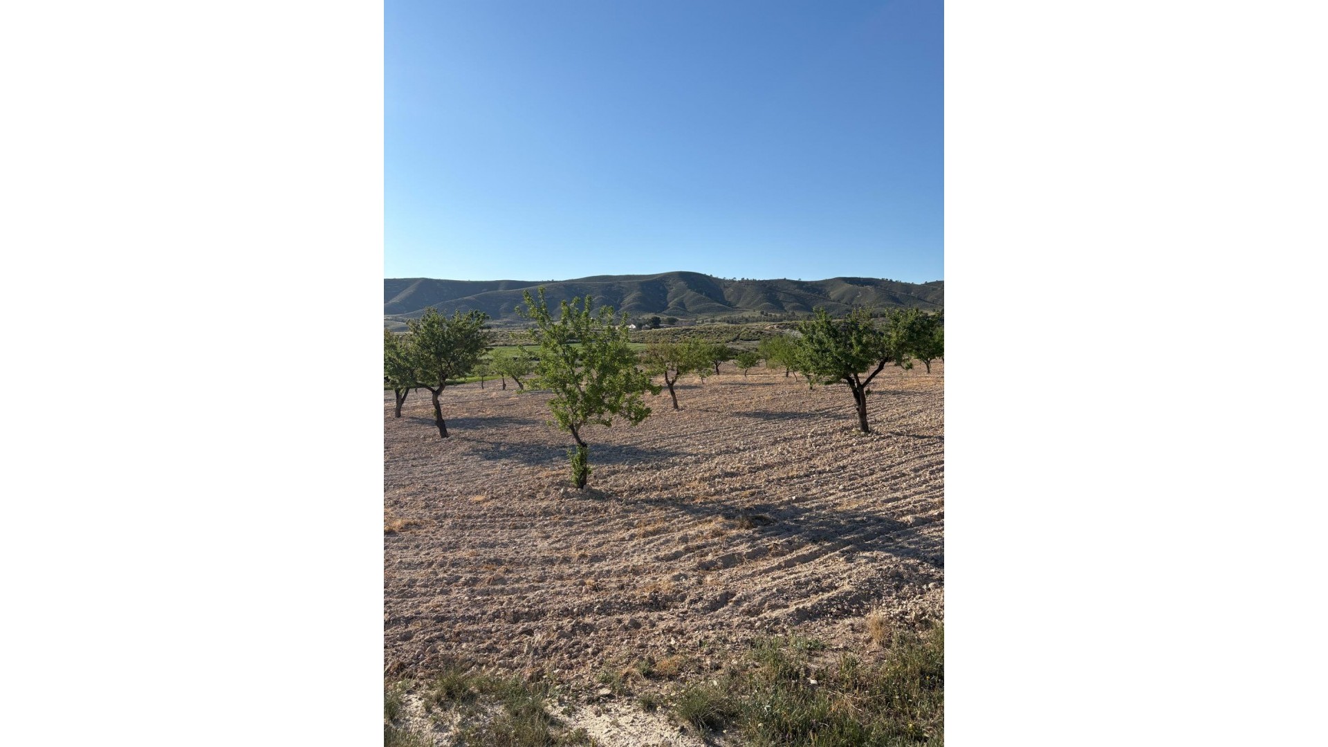 Herverkoop - Finca Landelijk pand -
Cañada del Trigo - Canada del Trigo Murcia