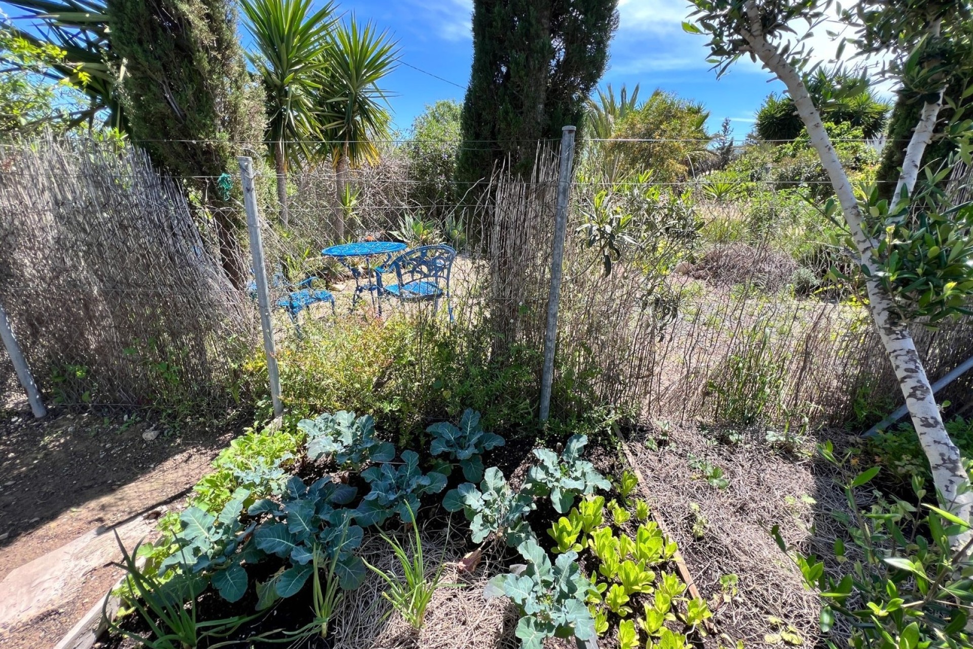 Herverkoop - Finca Landelijk pand -
Cartagena