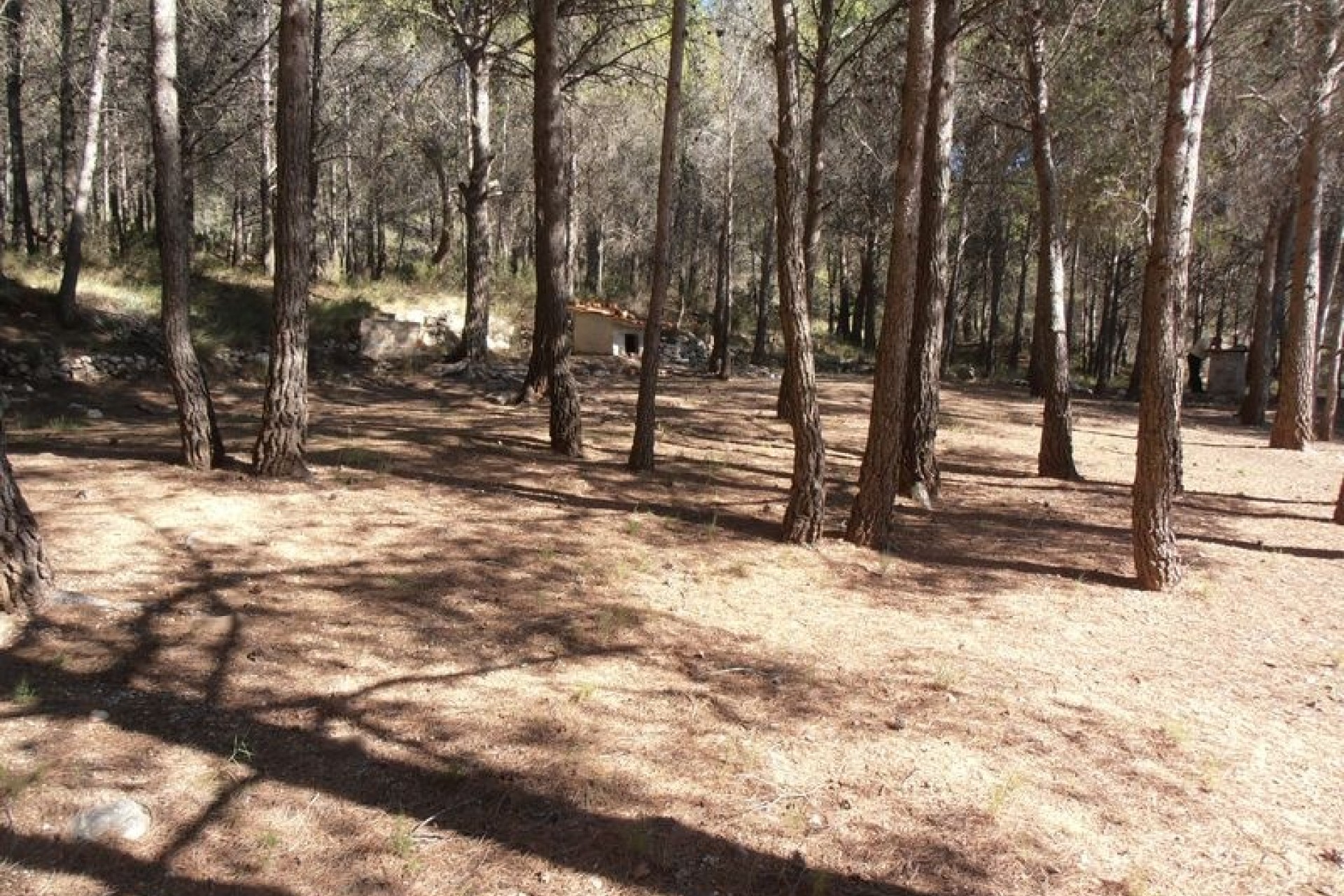 Herverkoop - Finca Landelijk pand -
Castalla