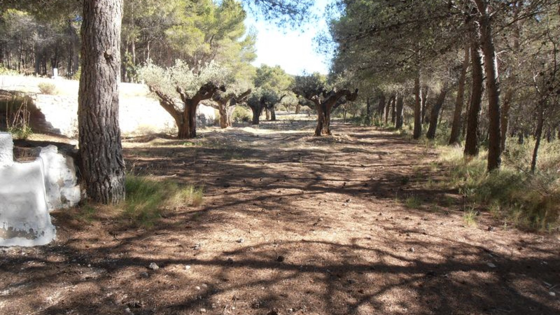 Herverkoop - Finca Landelijk pand -
Castalla