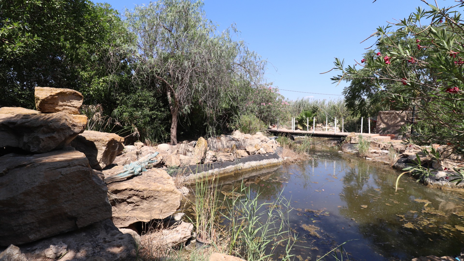 Herverkoop - Finca Landelijk pand -
Catral - Catral - Country