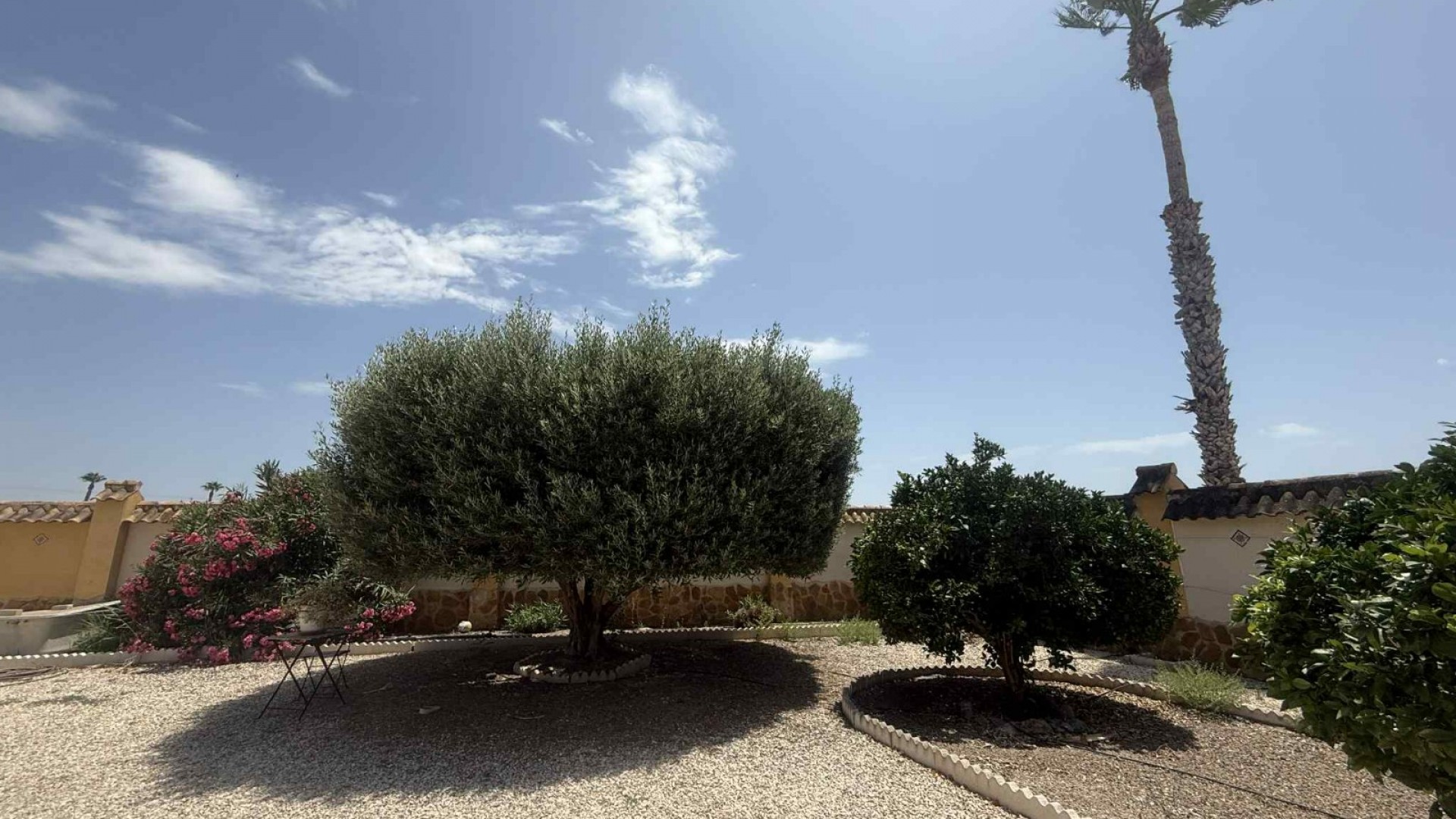 Herverkoop - Finca Landelijk pand -
Catral