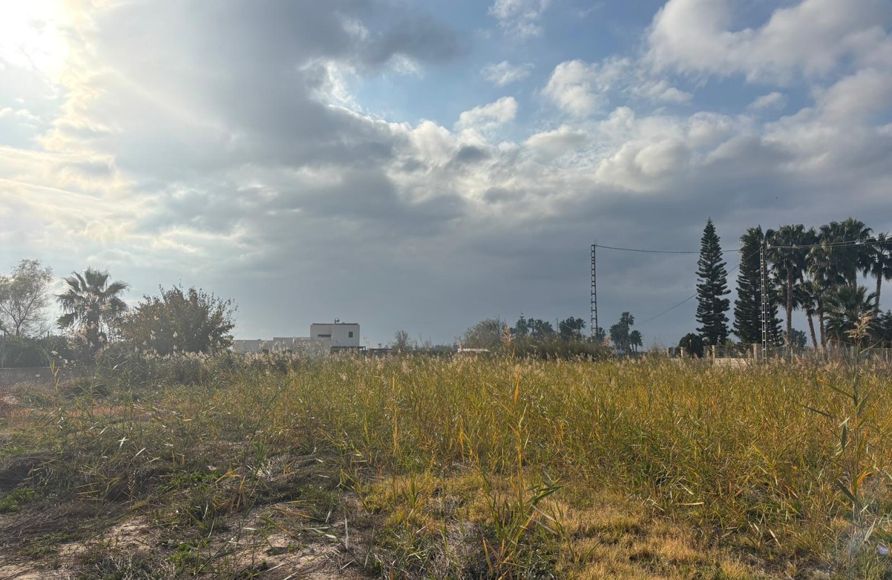 Herverkoop - Finca Landelijk pand -
Catral