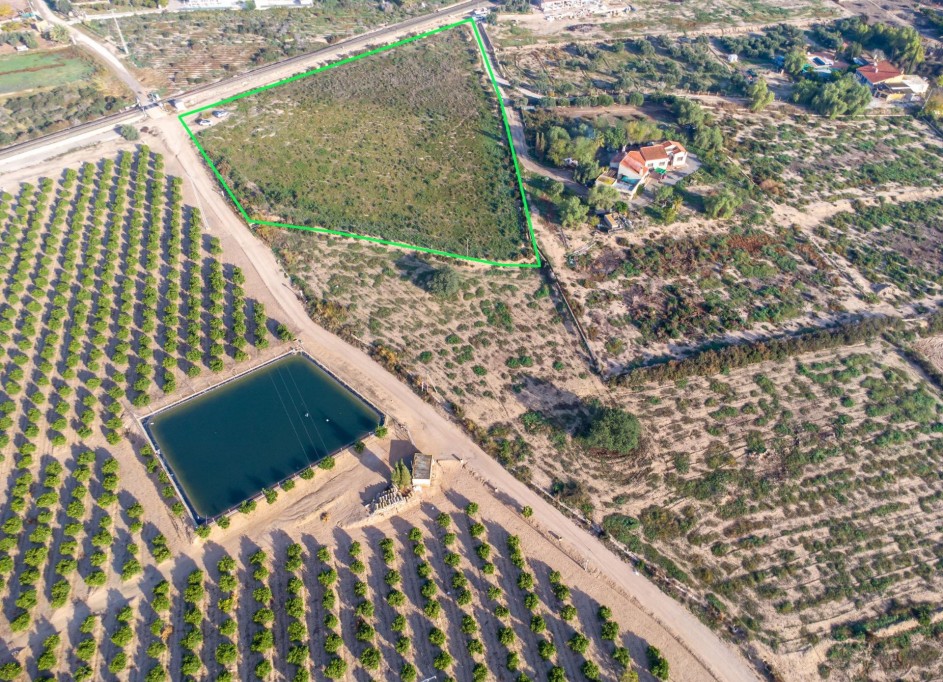 Herverkoop - Finca Landelijk pand -
Crevillent - Comunidad valenciana