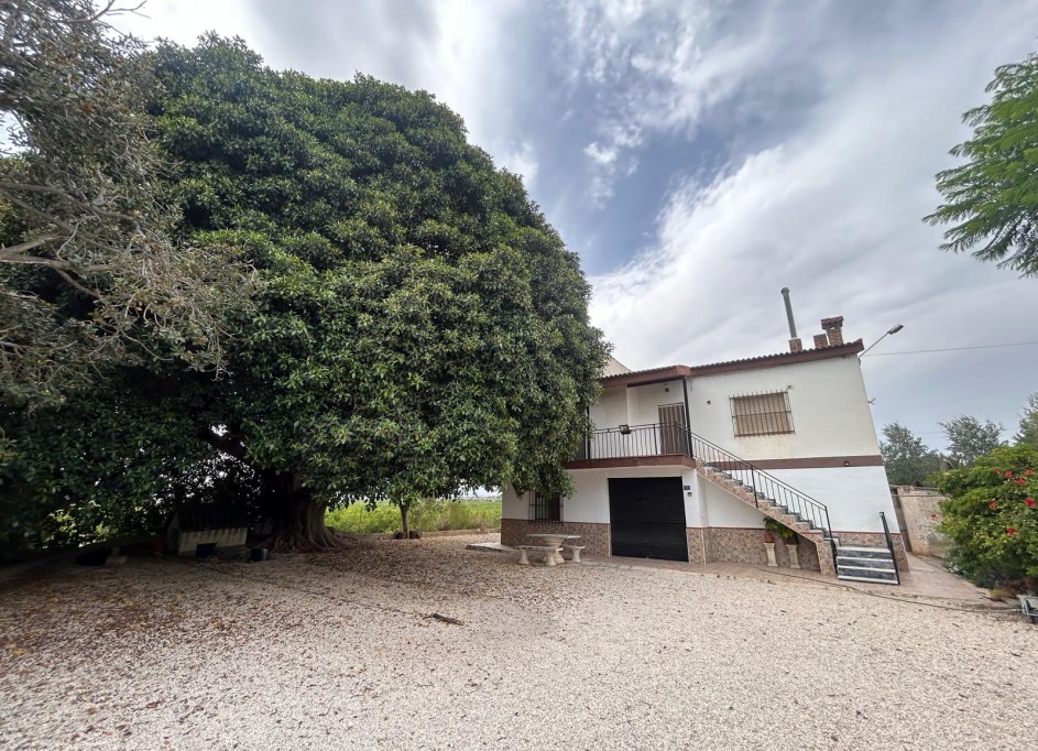 Herverkoop - Finca Landelijk pand -
Crevillente