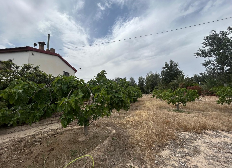 Herverkoop - Finca Landelijk pand -
Crevillente