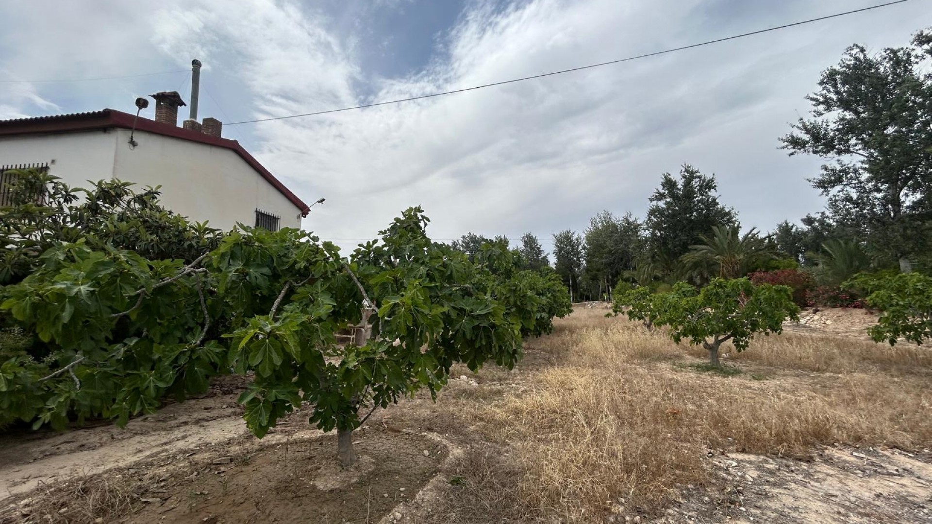 Herverkoop - Finca Landelijk pand -
Crevillente