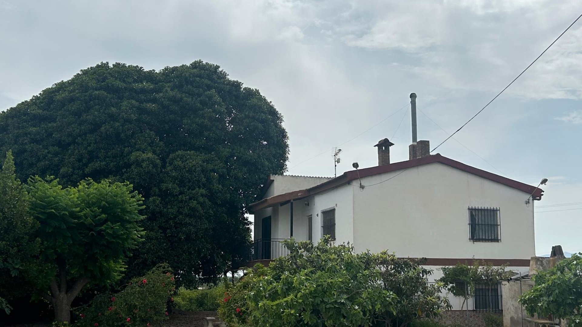 Herverkoop - Finca Landelijk pand -
Crevillente