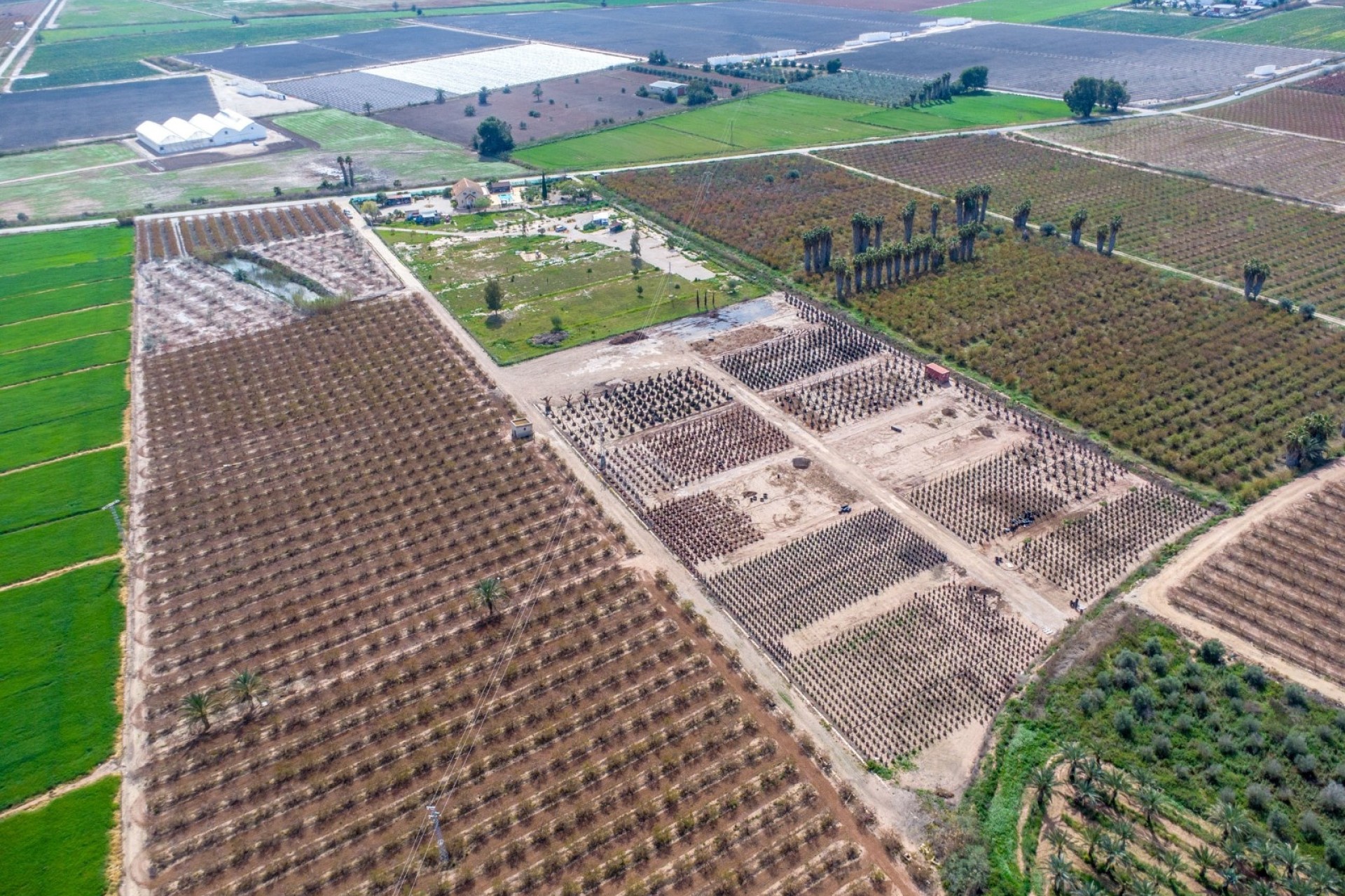 Herverkoop - Finca Landelijk pand -
Crevillente