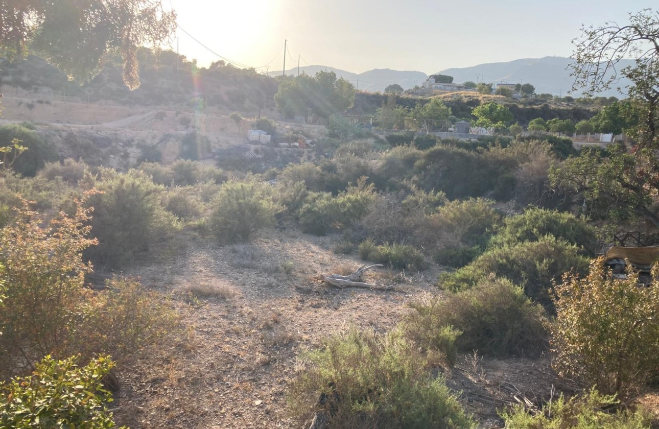 Herverkoop - Finca Landelijk pand -
Crevillente